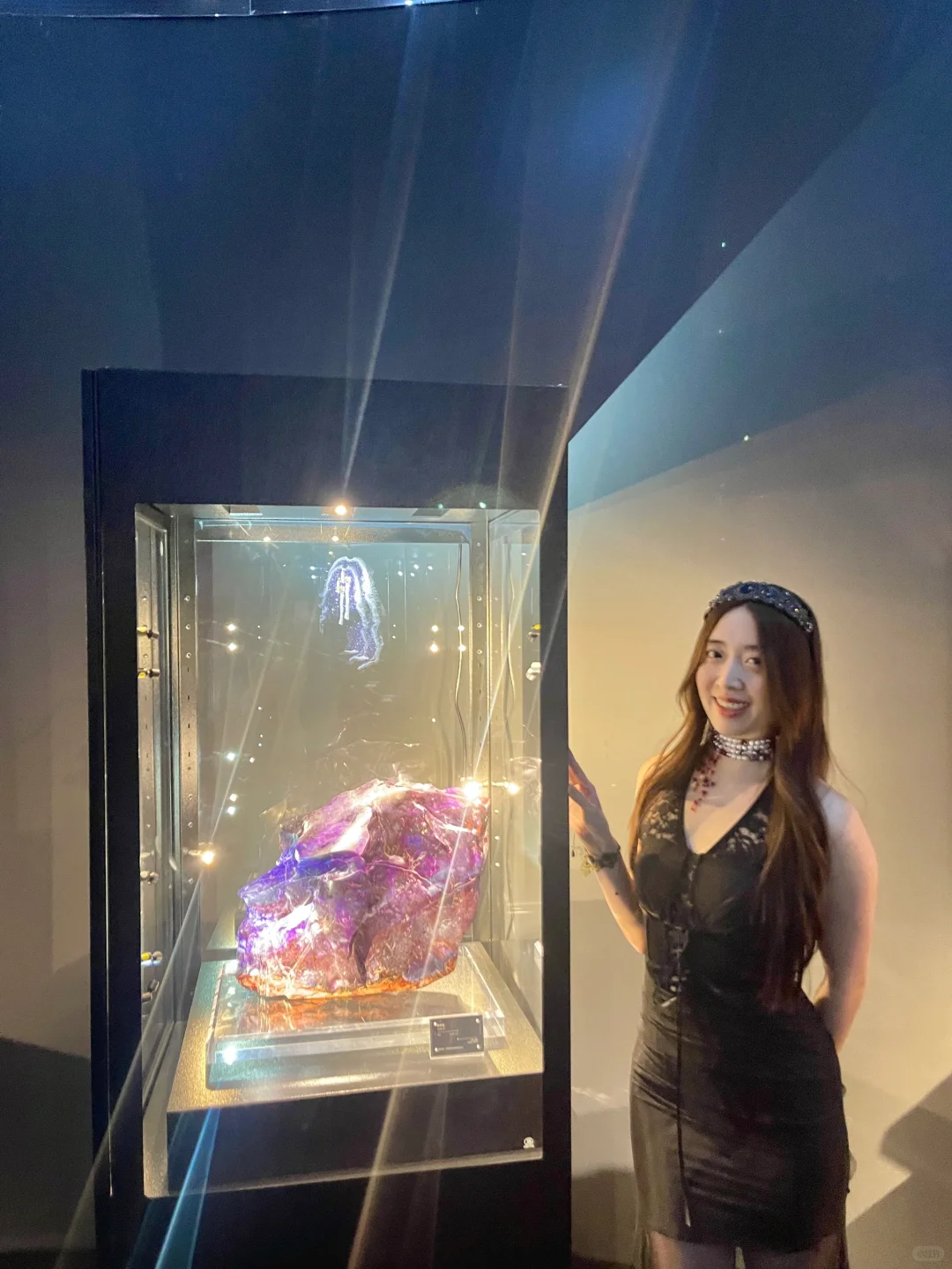 听说全南京都在等这个高贵紫展览