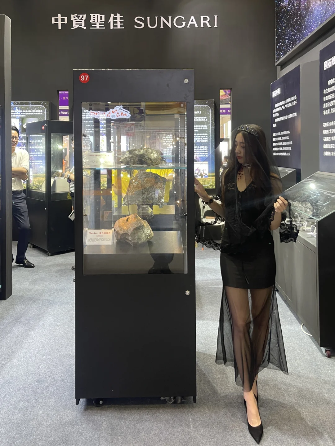 听说全南京都在等这个高贵紫展览