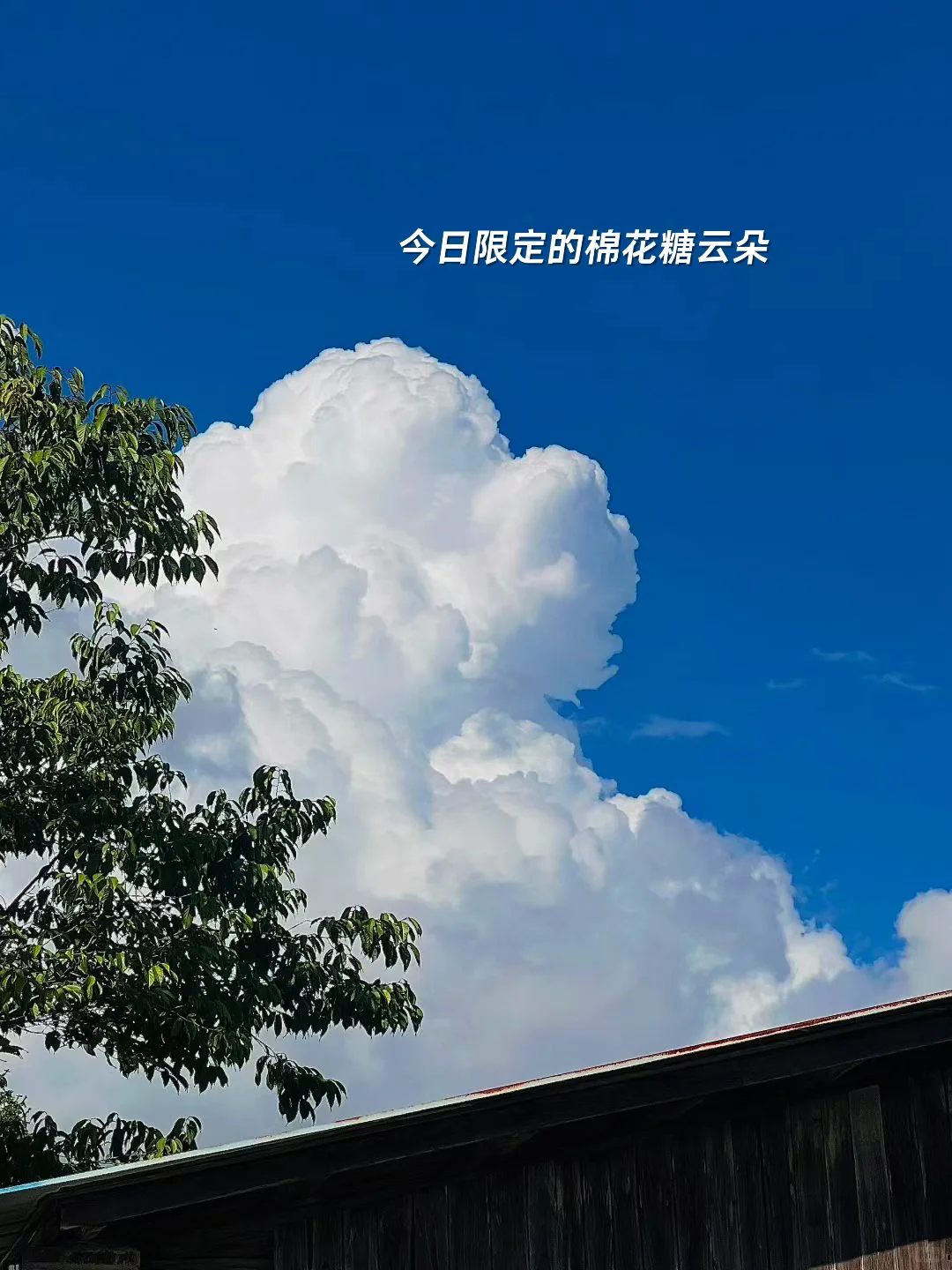 88年37岁不上班，3份居家工作❗️❗️