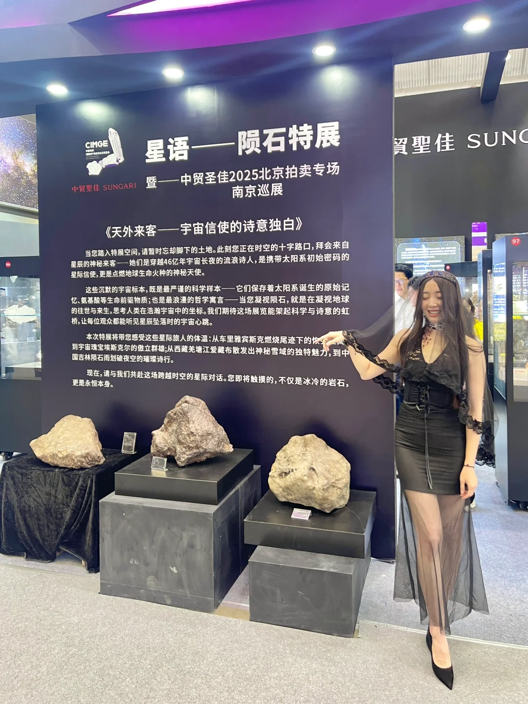 听说全南京都在等这个高贵紫展览