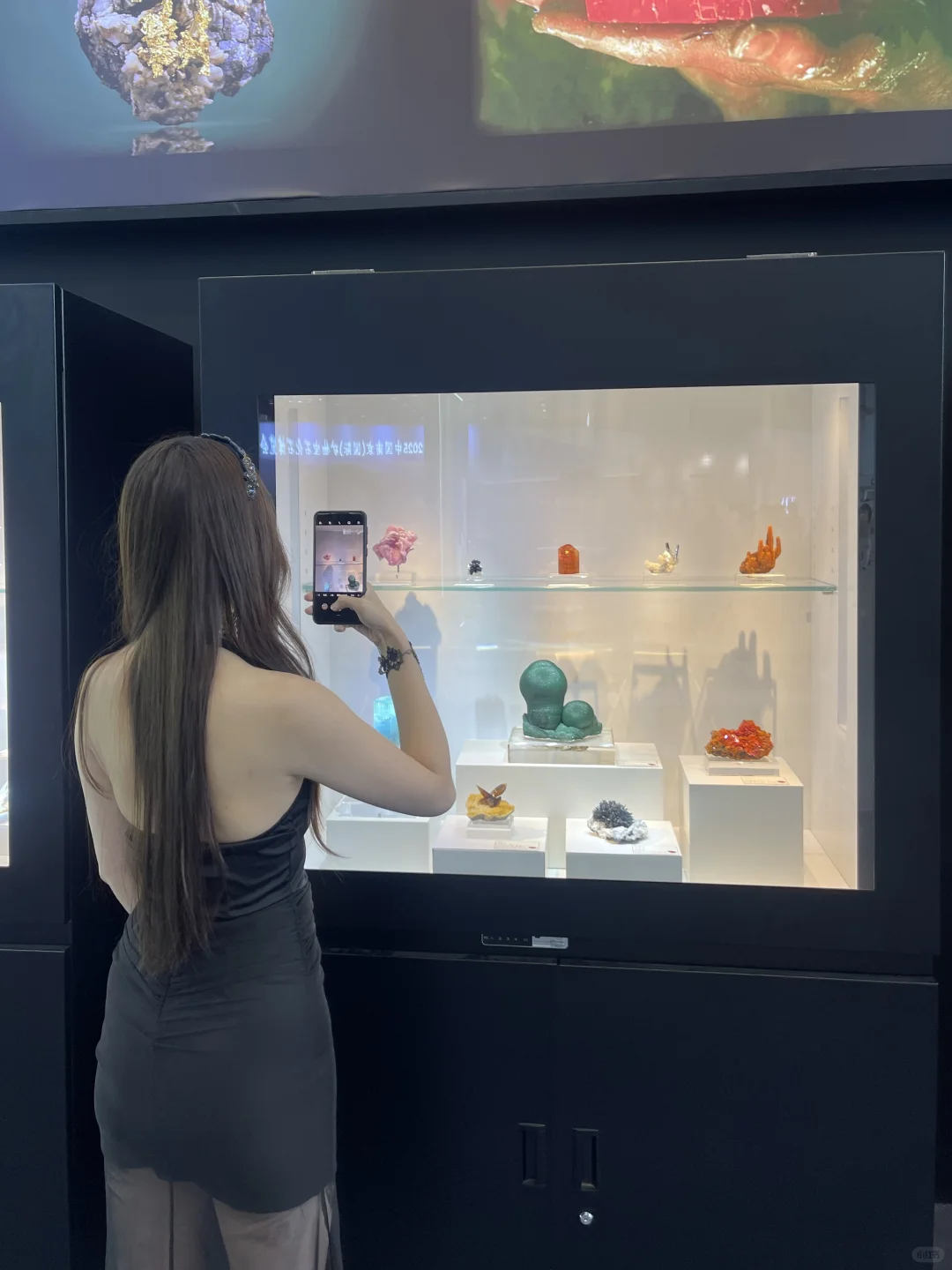 听说全南京都在等这个高贵紫展览