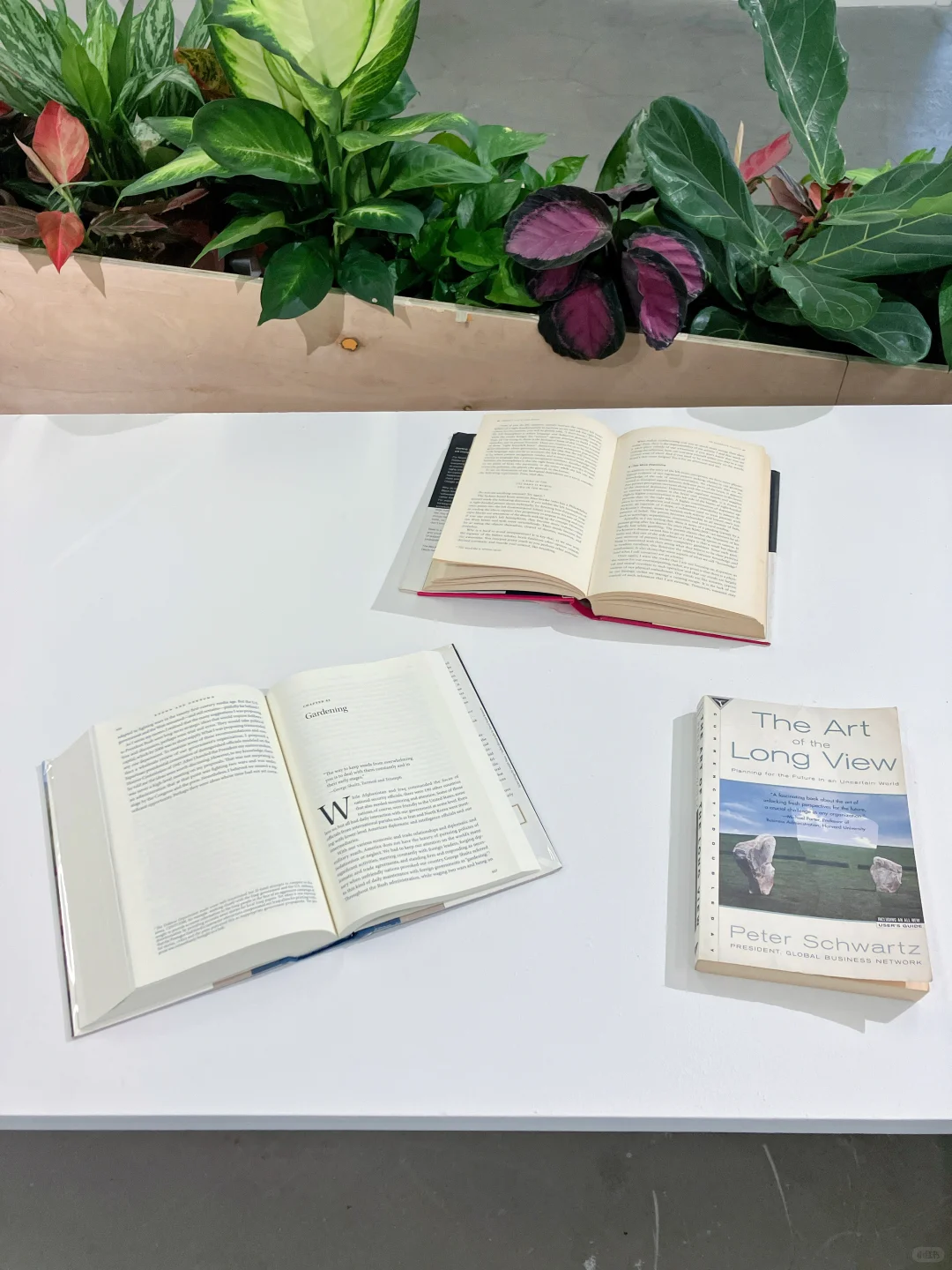 上海看展｜3个新展·画廊也开启邪修模式了?