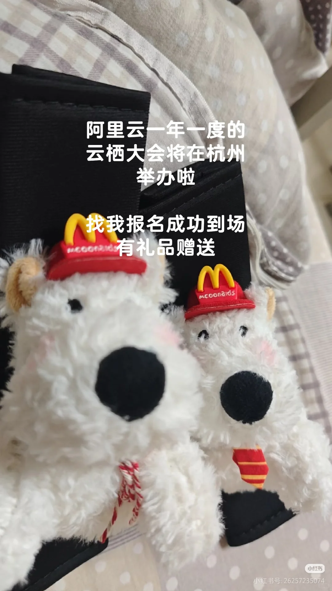 这次云栖大会我报名成功了！