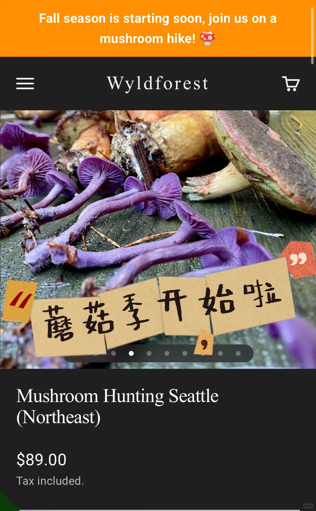 西雅图｜来抢Mushroom Tour啦！
