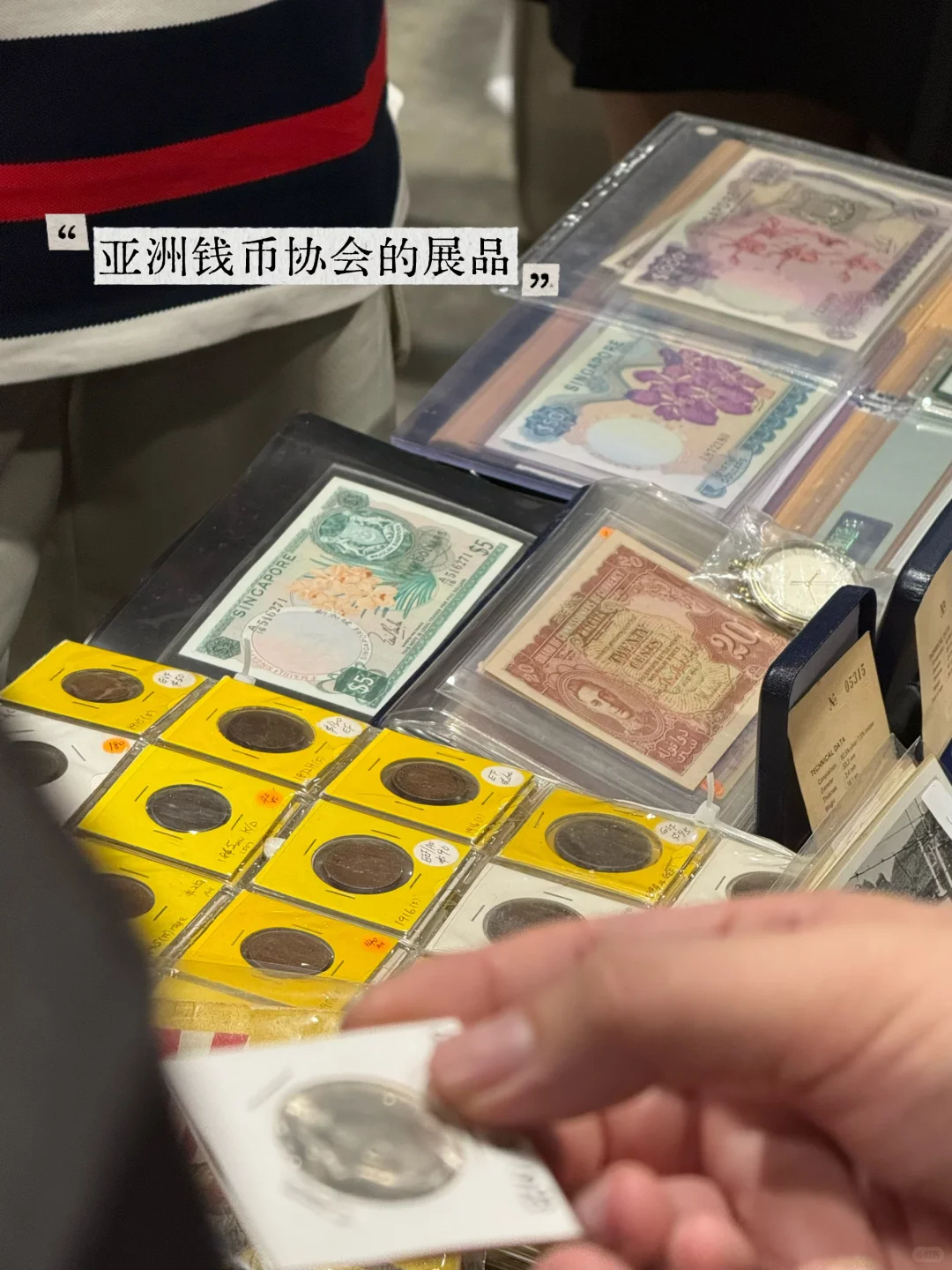 ??一下午逛完 200+兴趣展位