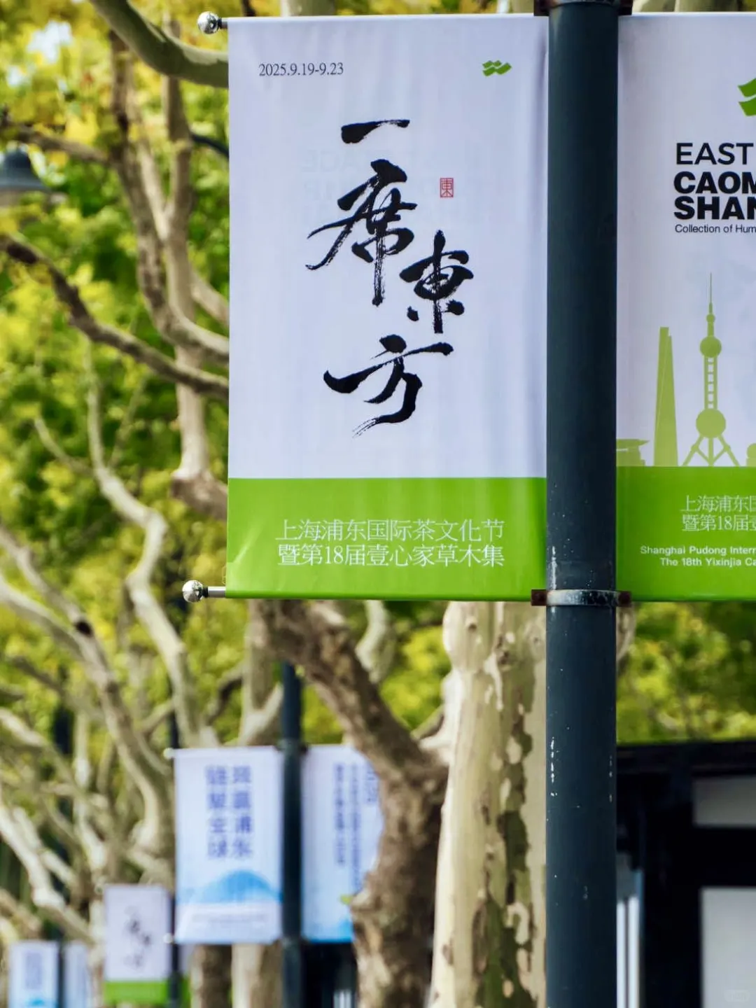 浦东茶文化节｜藏在公园的东方美学秘境?