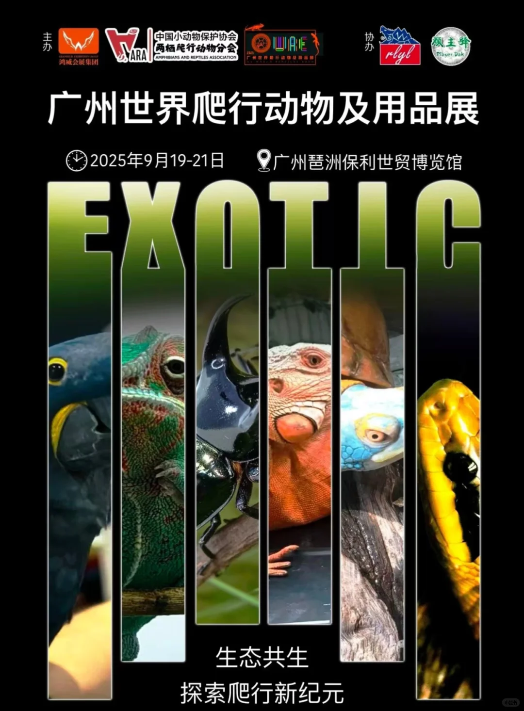 广州世宠会门票免费送???