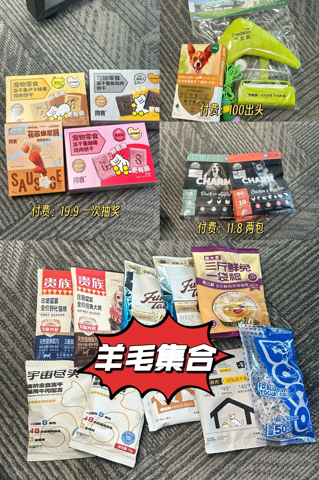 成都宠博会一日游(含薅羊毛小攻略)