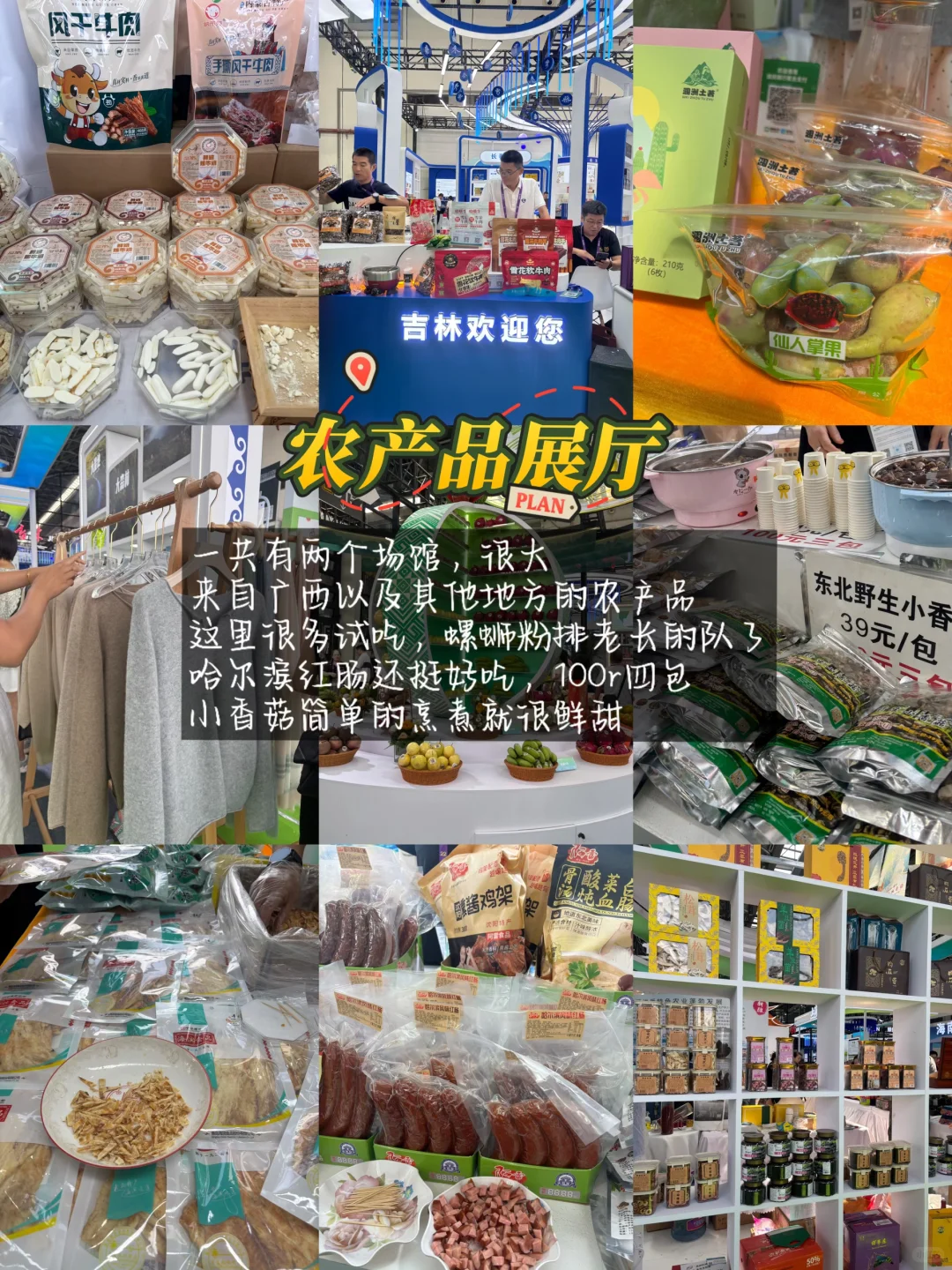 2025东盟博览会,公众开放日来了(攻略)