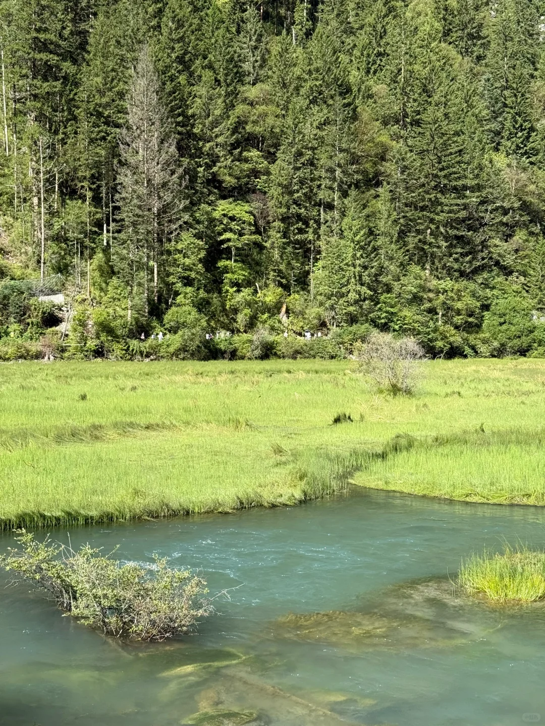 九寨沟+四姑娘山 6日漫游