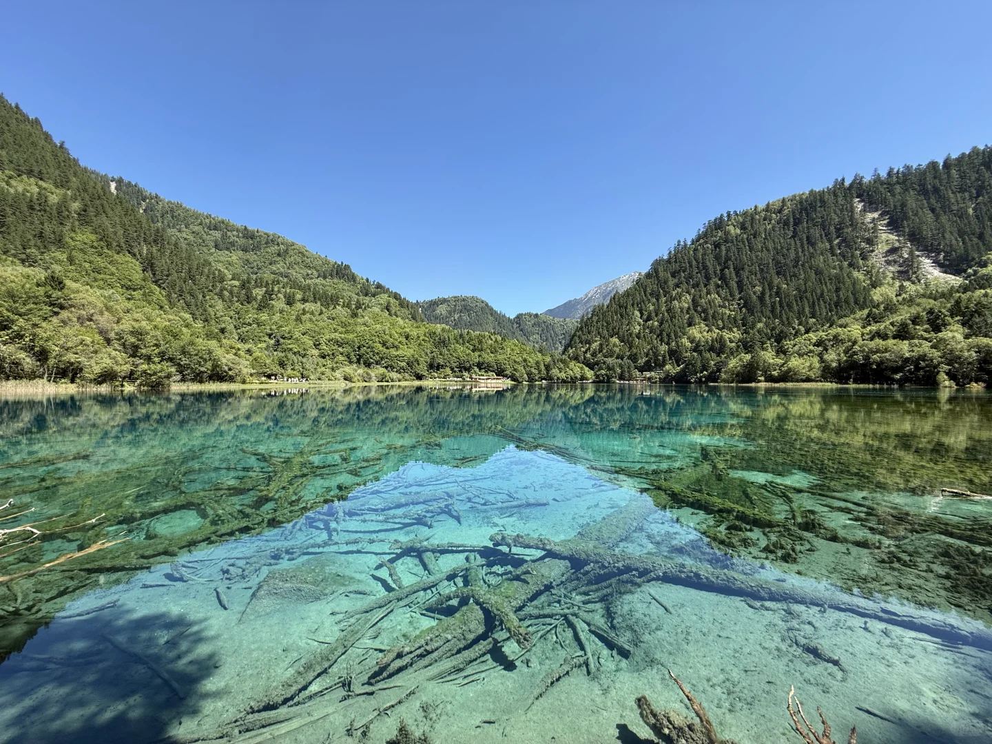 九寨沟+四姑娘山 6日漫游
