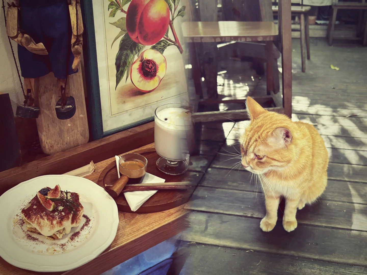 我一直强行把一些东西送给你