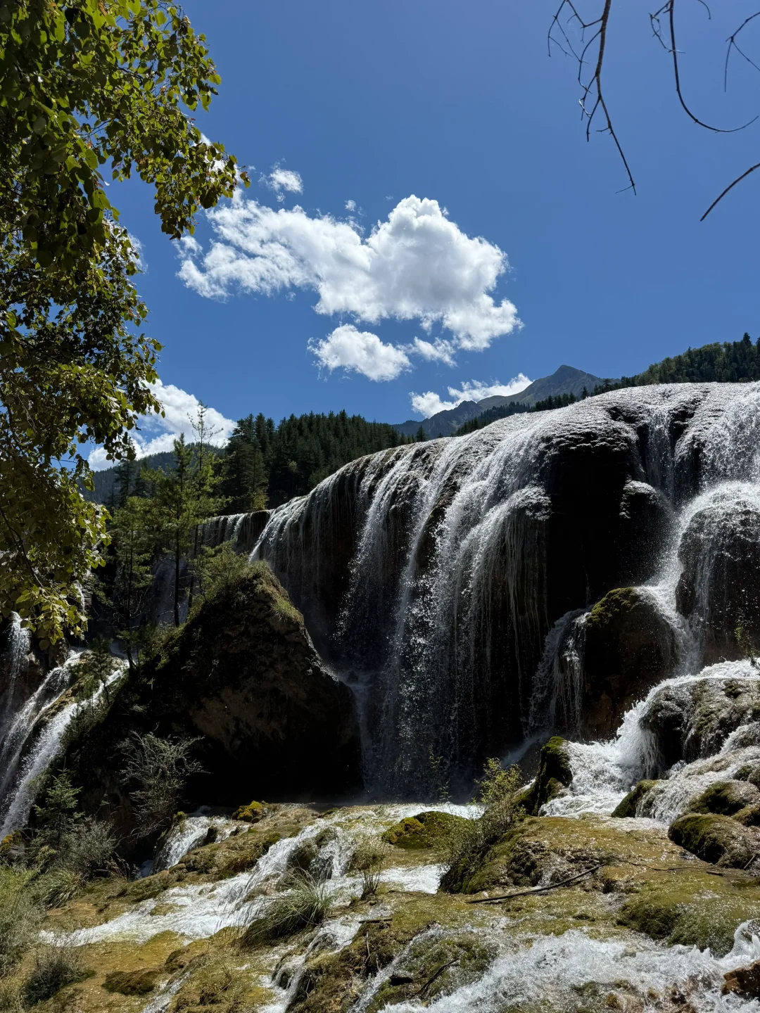 九寨沟+四姑娘山 6日漫游