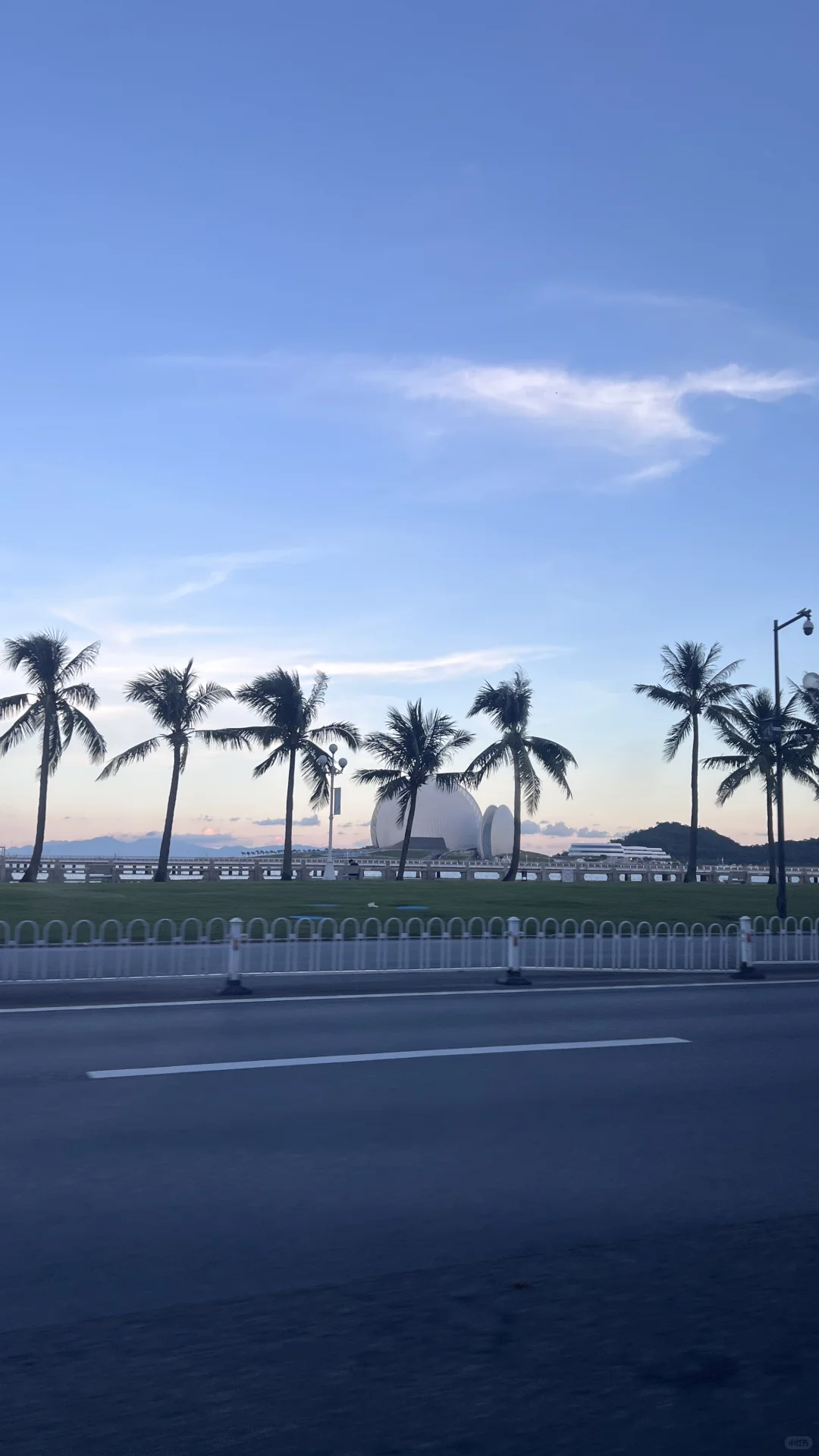 我挺喜欢你的 但是我真的没招了