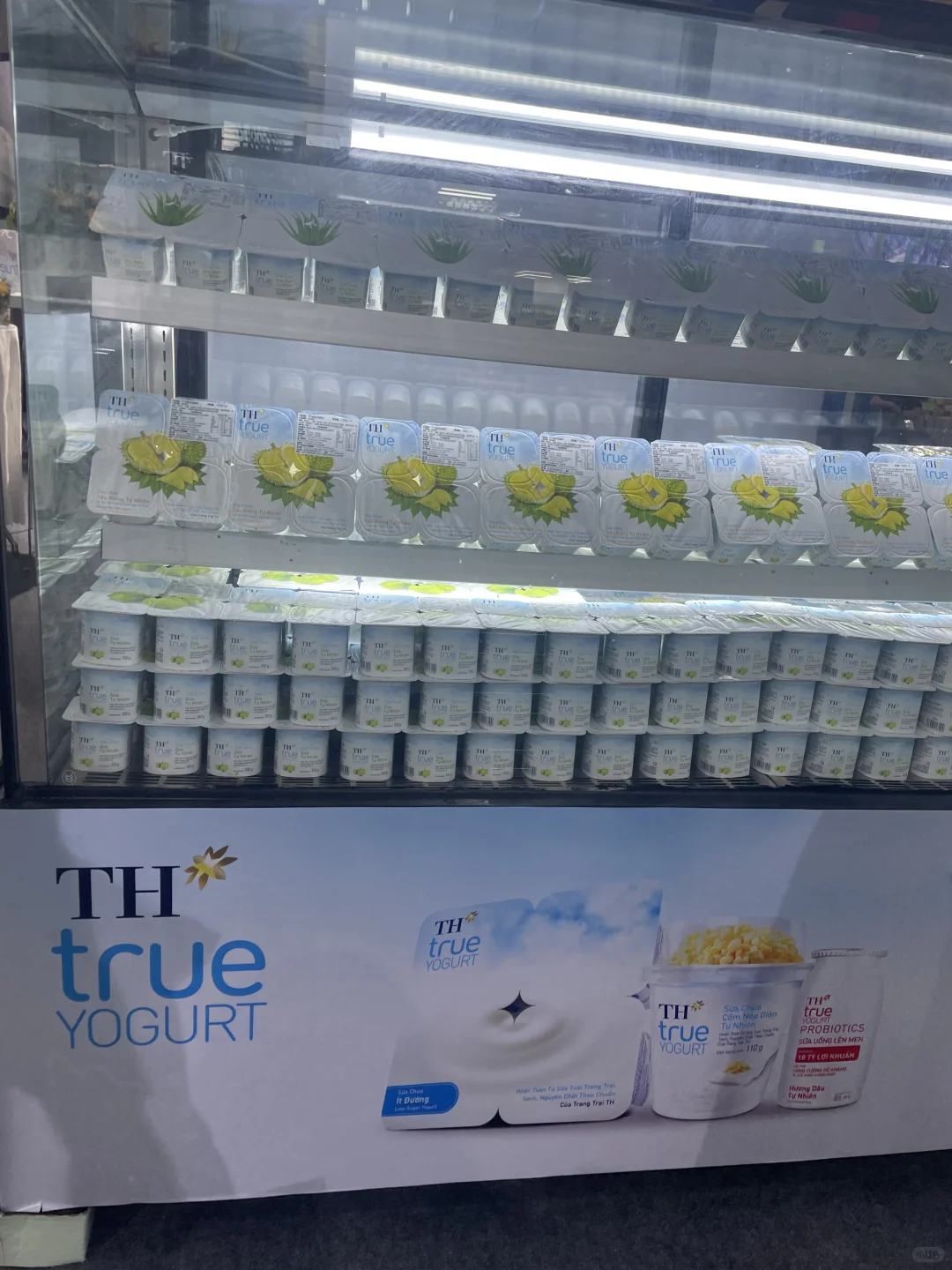 2025年东盟博览会逛展