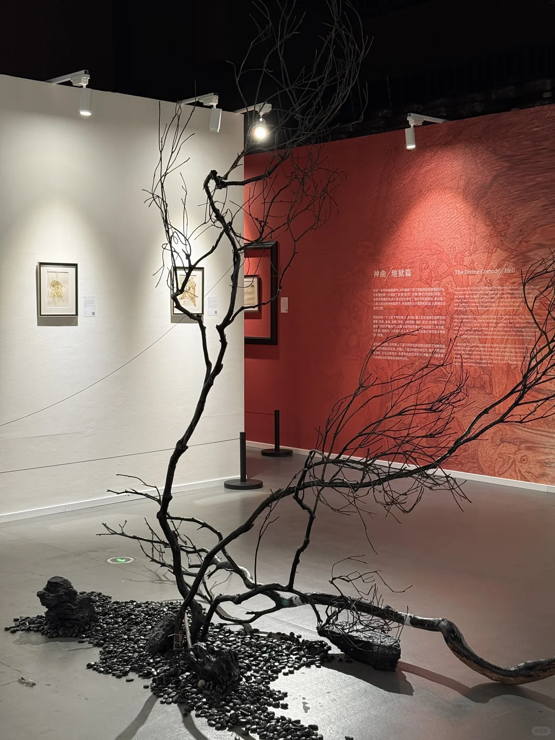 长沙新展｜在达利神曲里感受艺术美学?✨?