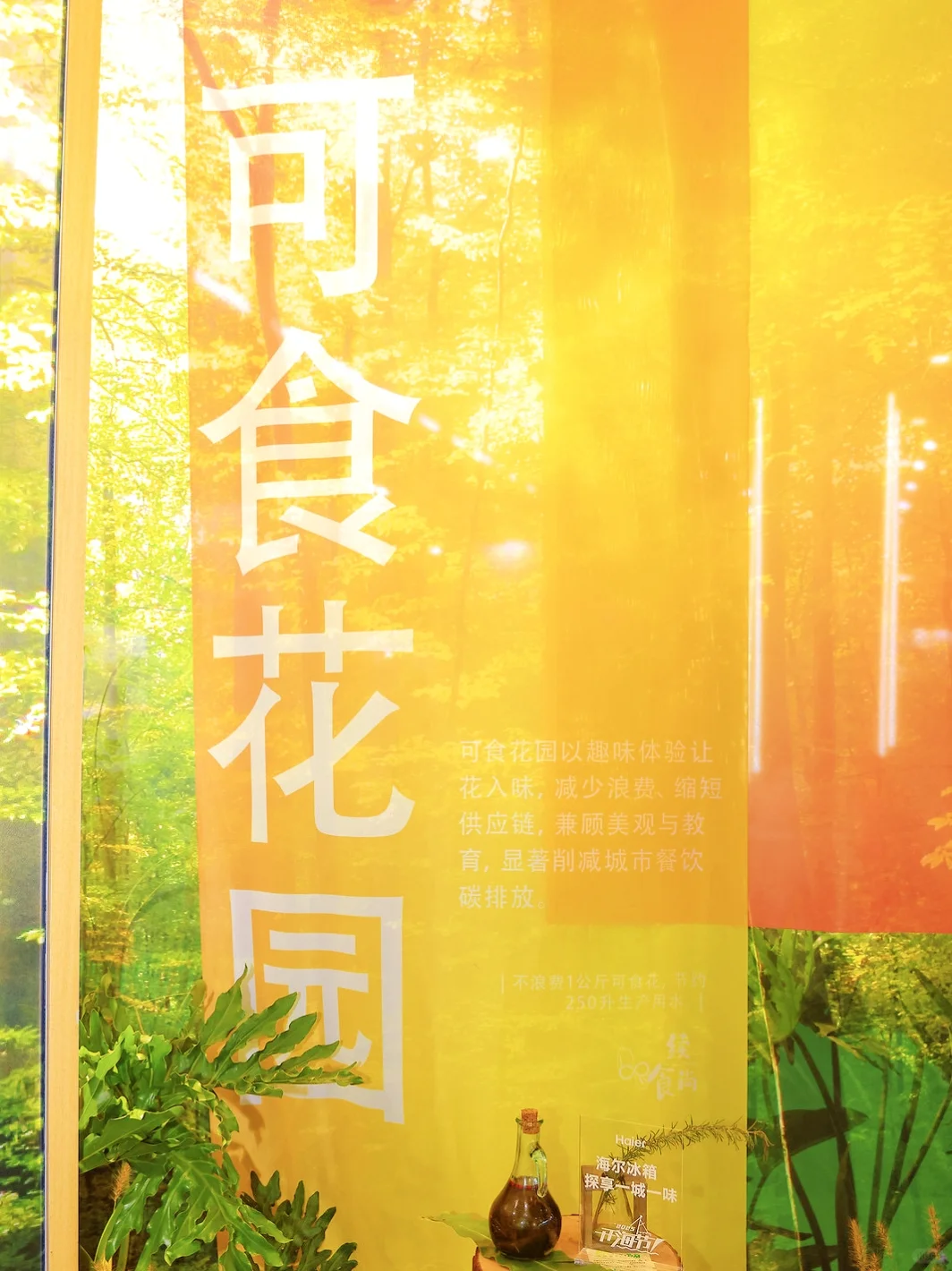 逛有机展被海尔冰箱圈粉原来保鲜能这么有温