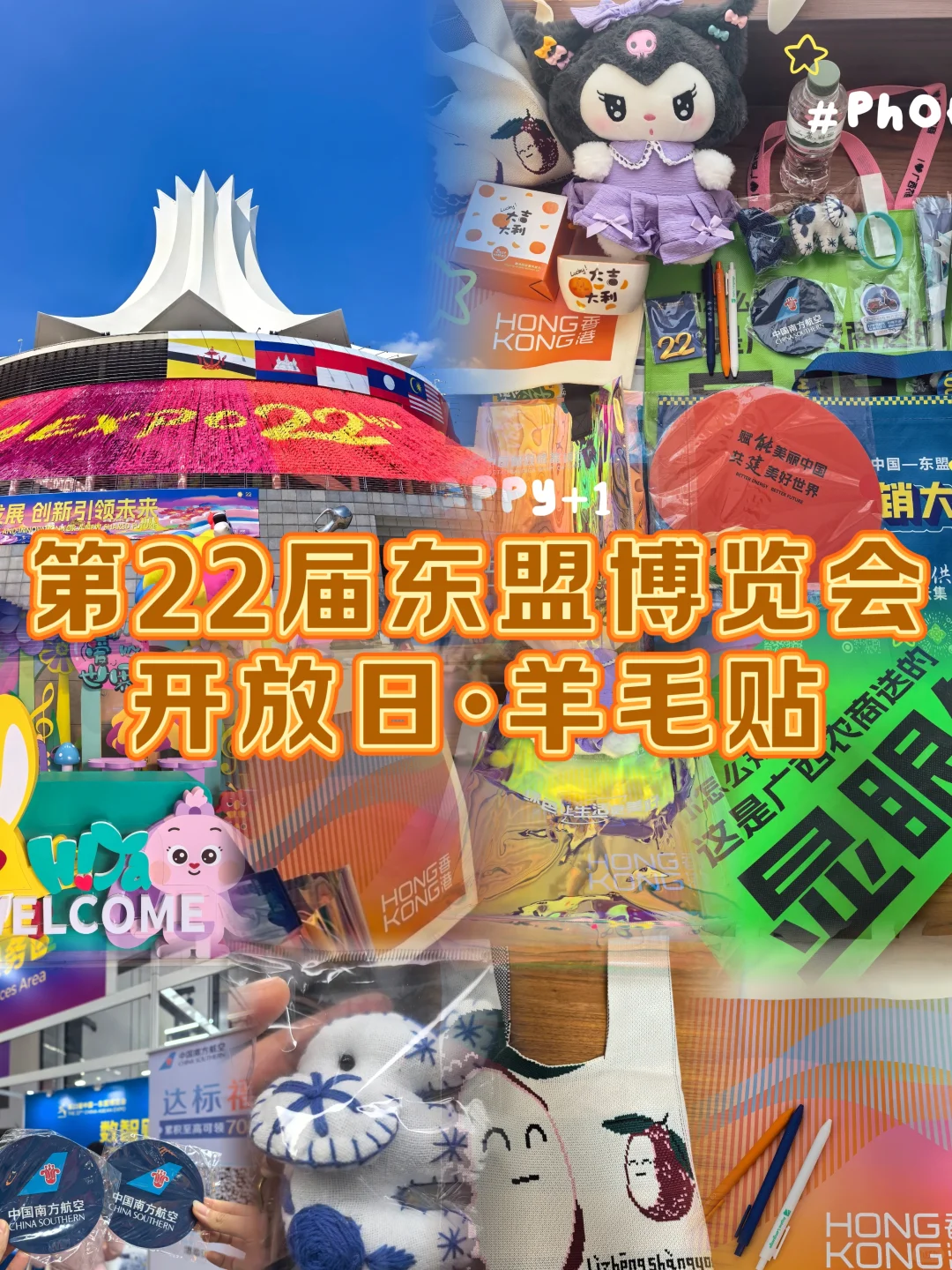（2025年）第22届东博会·羊毛贴