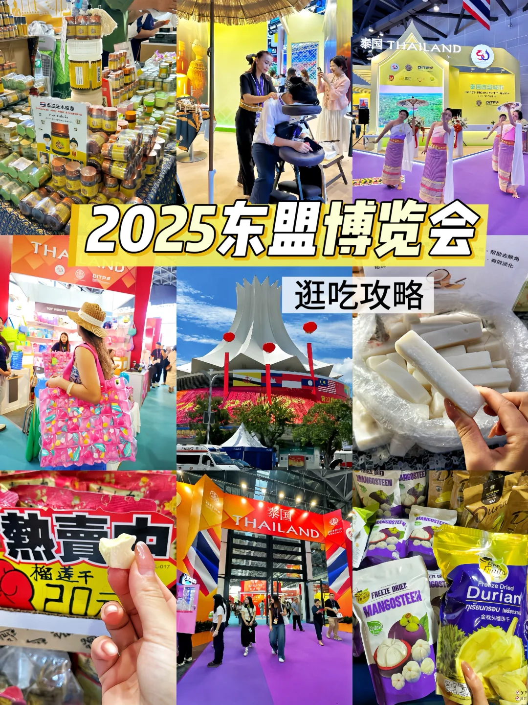 南宁2025东盟博览会攻略|附必买清单!