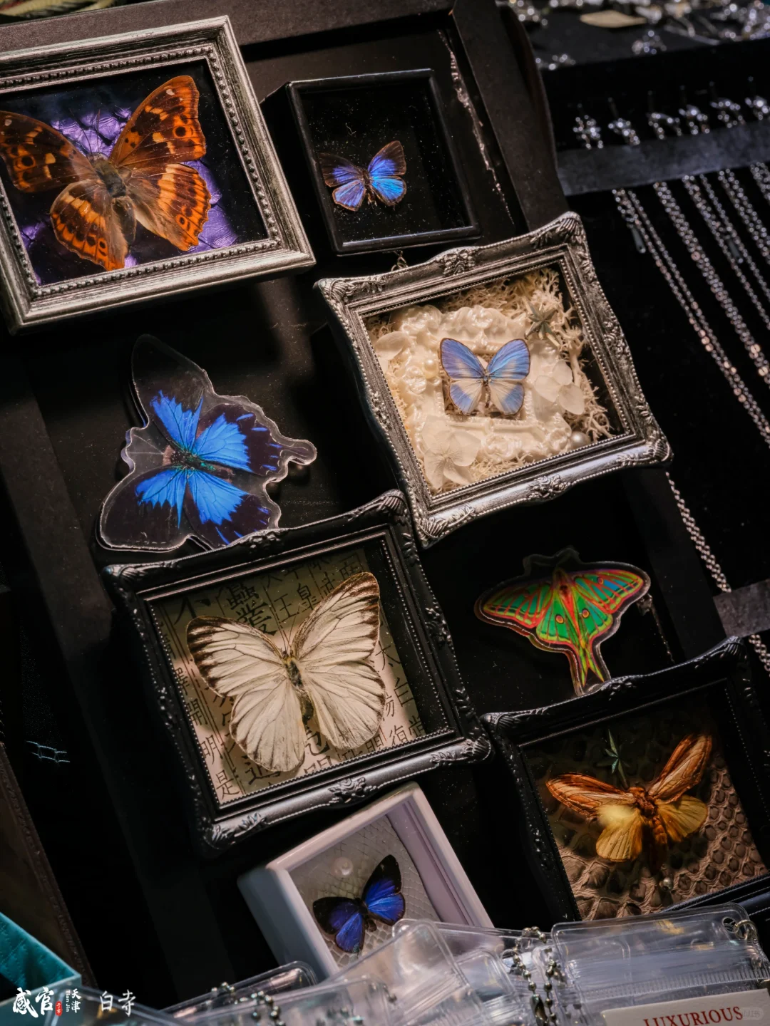 ?别脸红！这场展会真的“泰裤辣”！