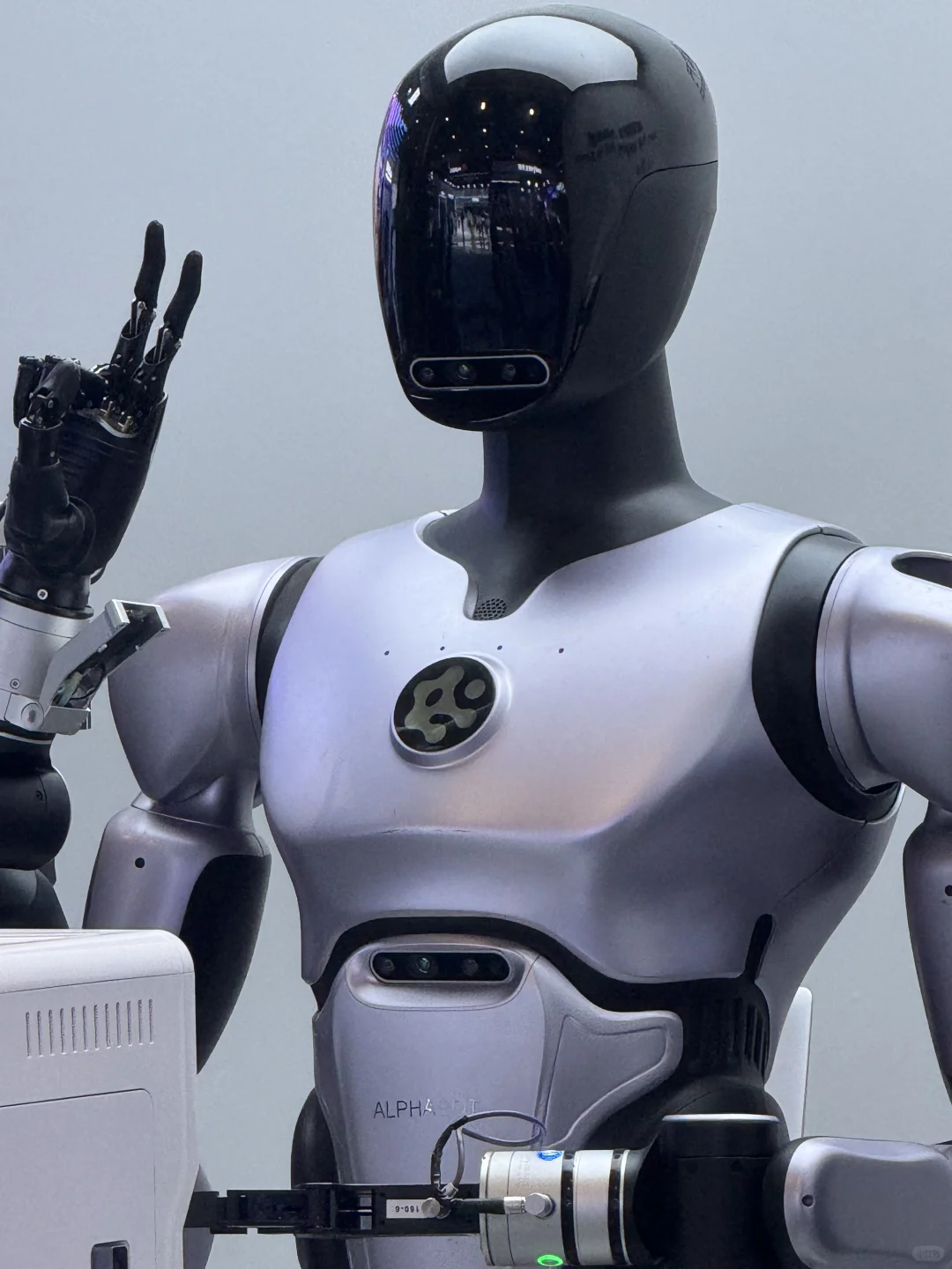 ? 2025 // 东盟博览会