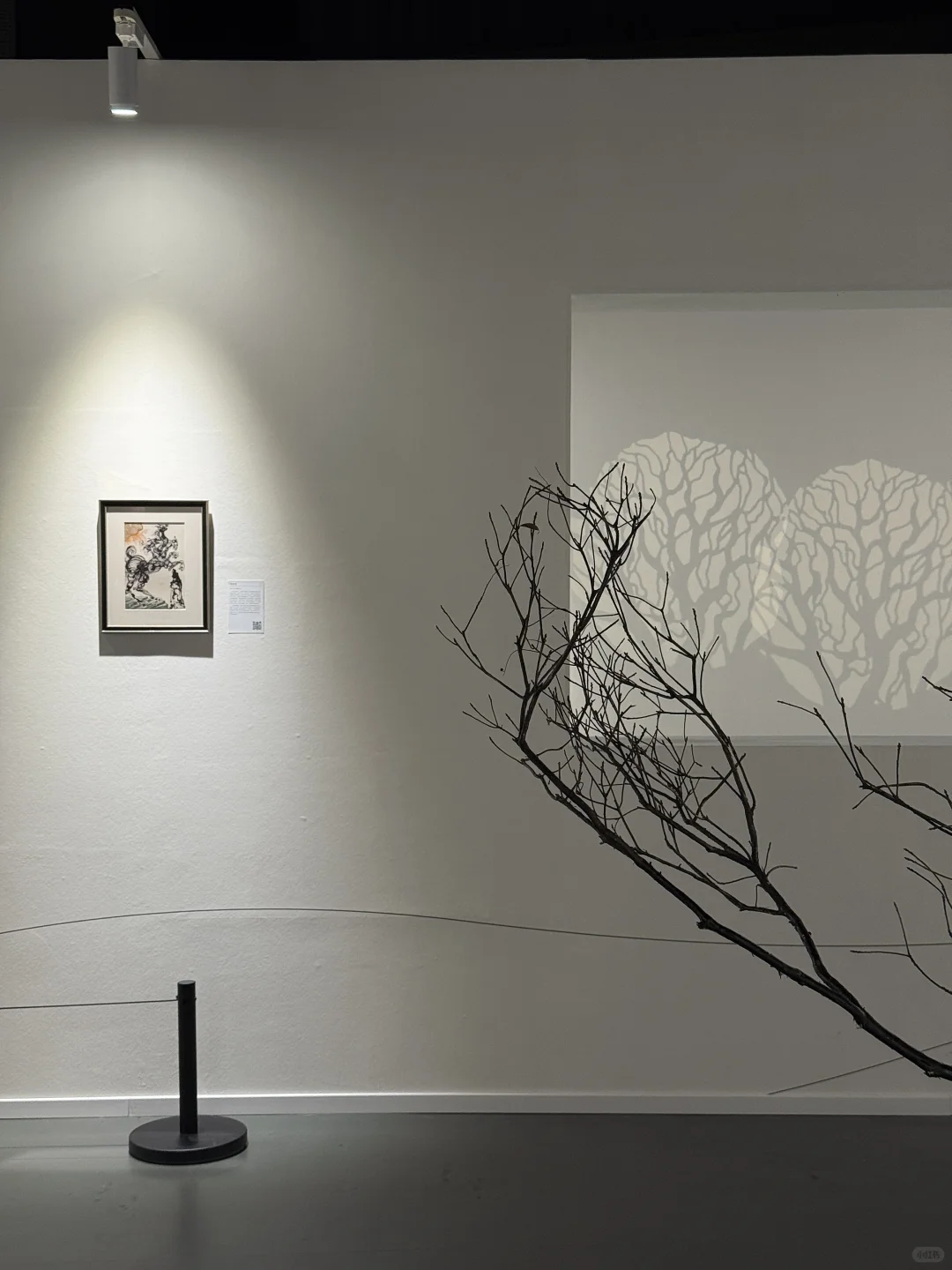 长沙新展｜在达利神曲里感受艺术美学?✨?