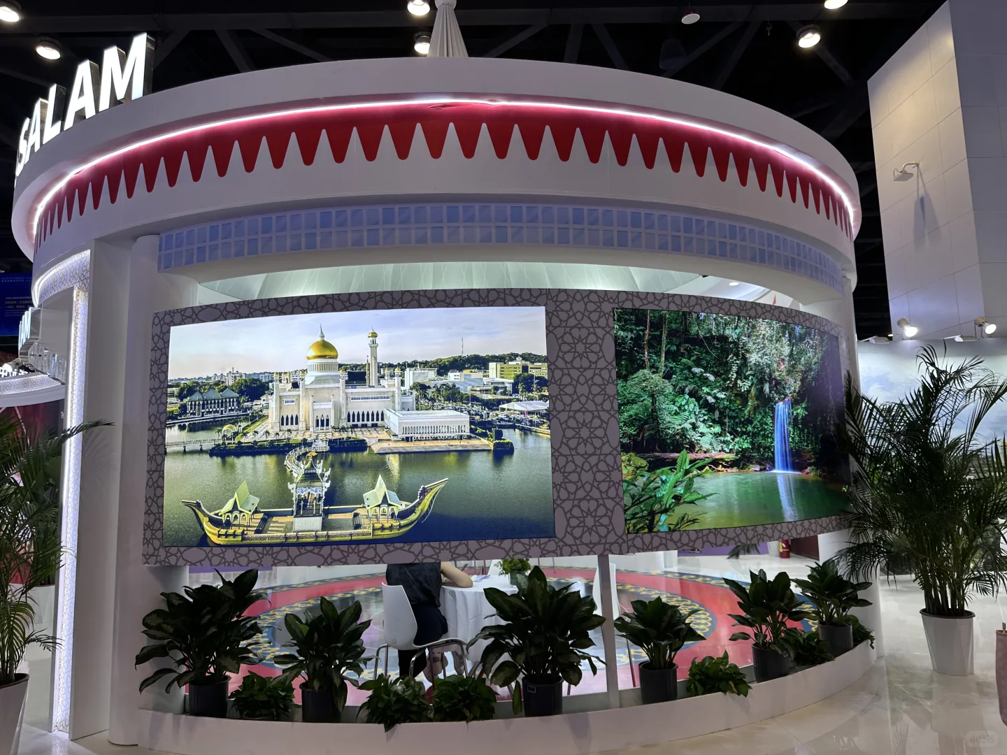 东盟博览会逛了一天啥也没买