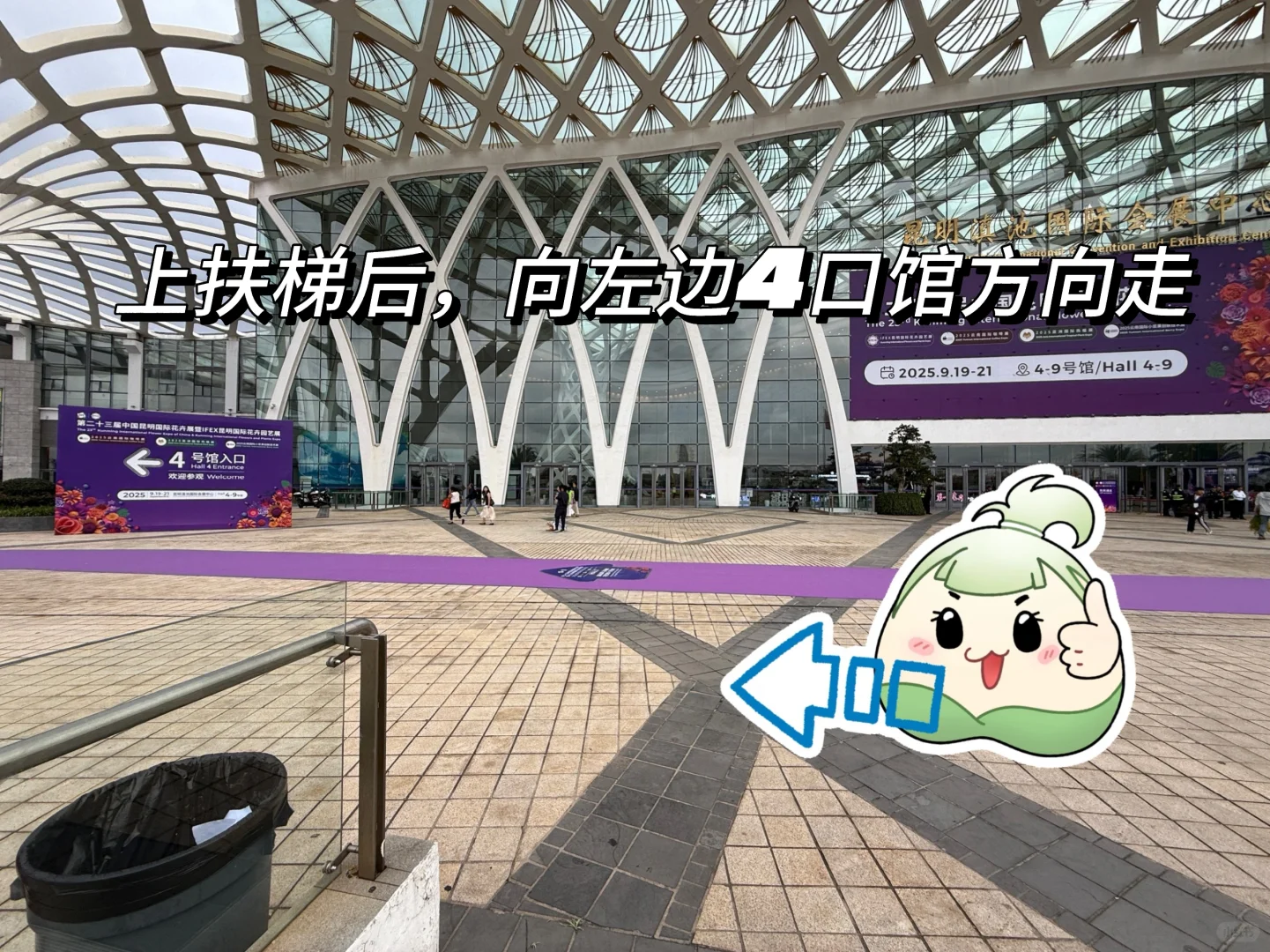 昆明花展｜跟着步导图，直达蕊漪展位！