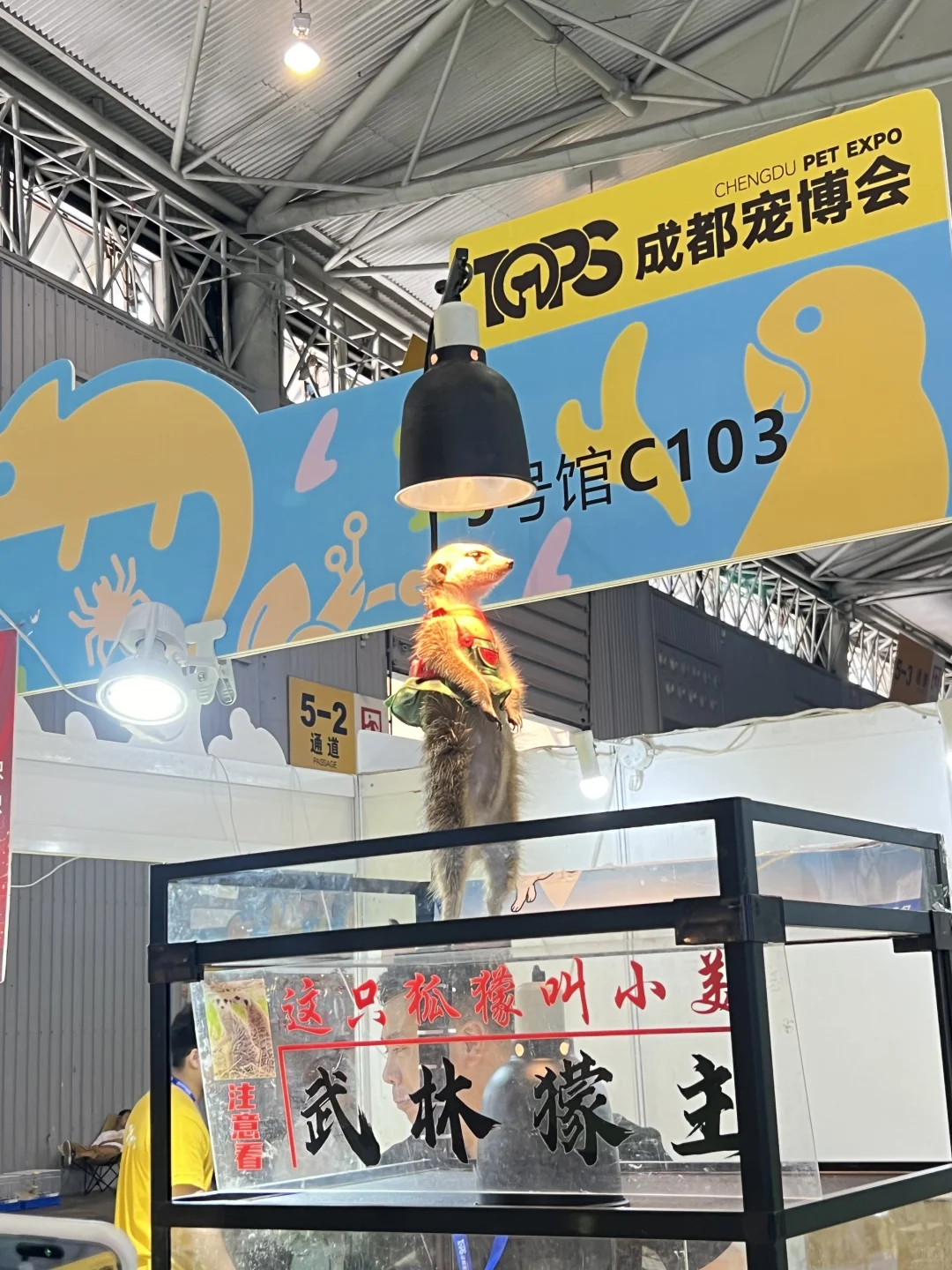 成都宠博会|周末逛展攻略!给毛孩子薅羊毛