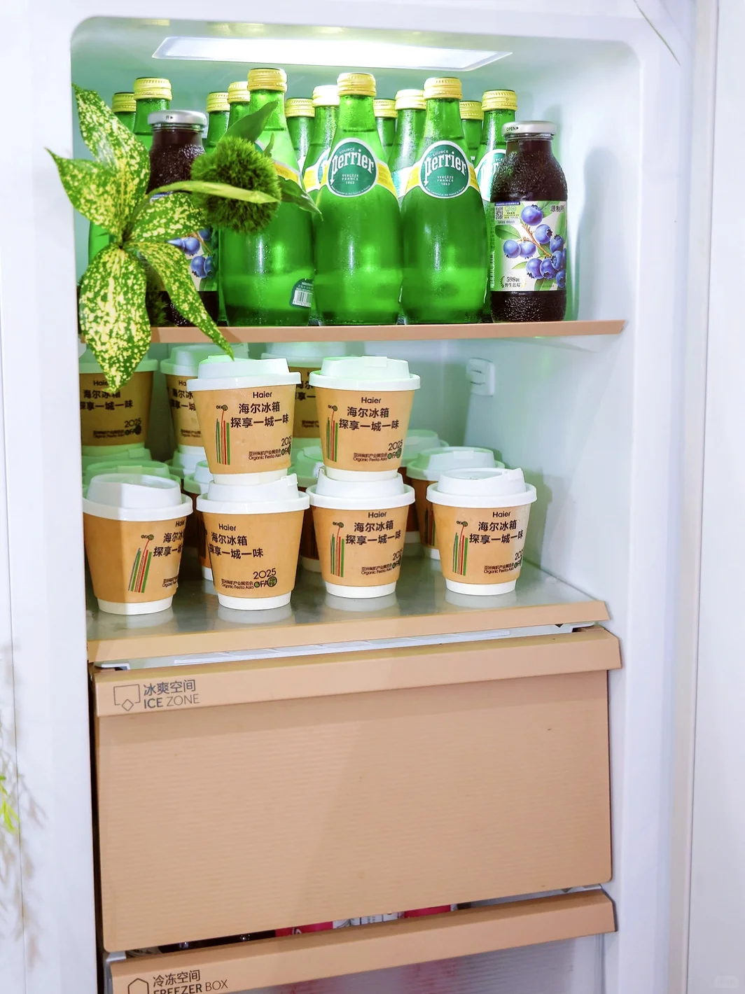 逛有机展被海尔冰箱圈粉原来保鲜能这么有温
