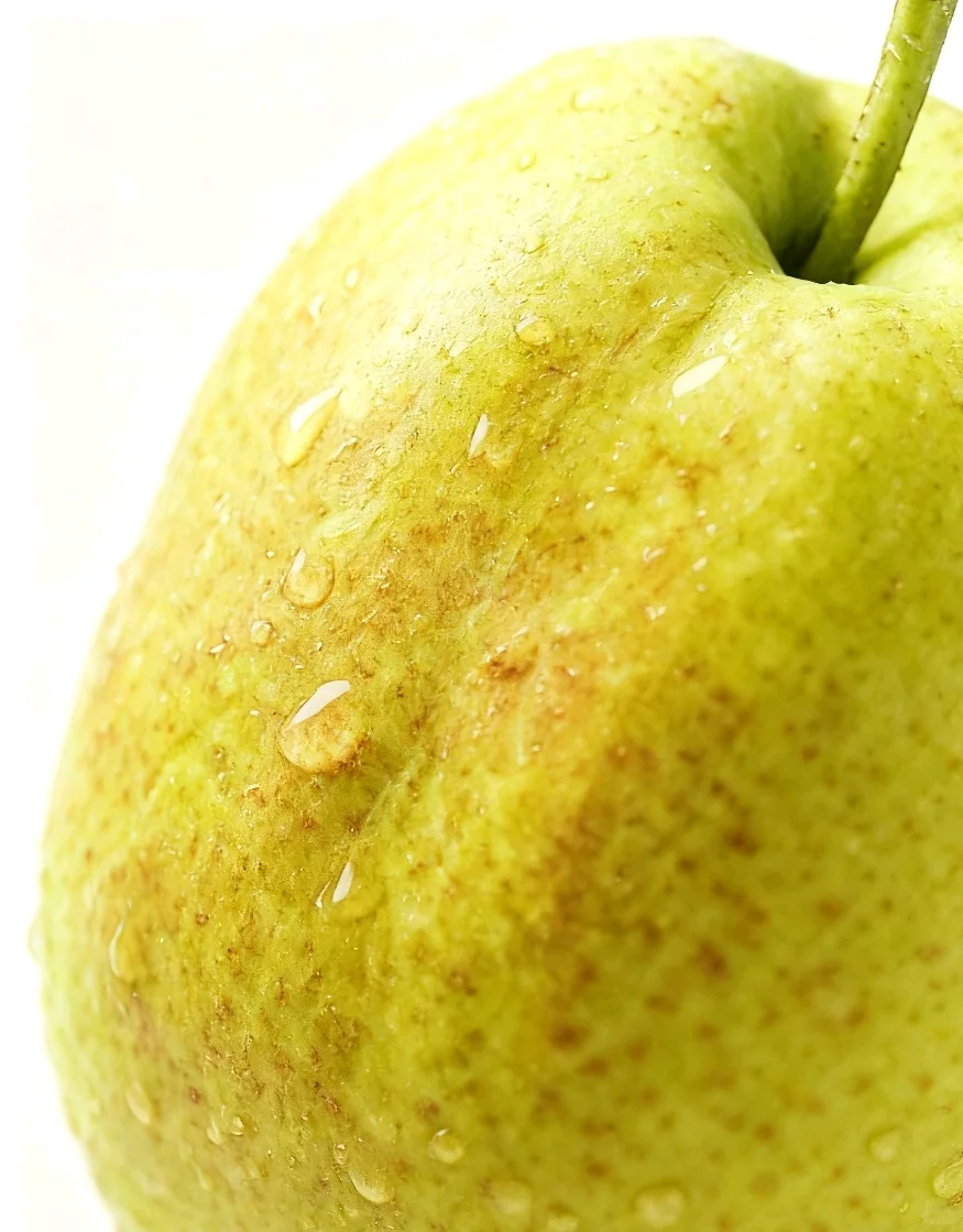 玉露香开始上新啦