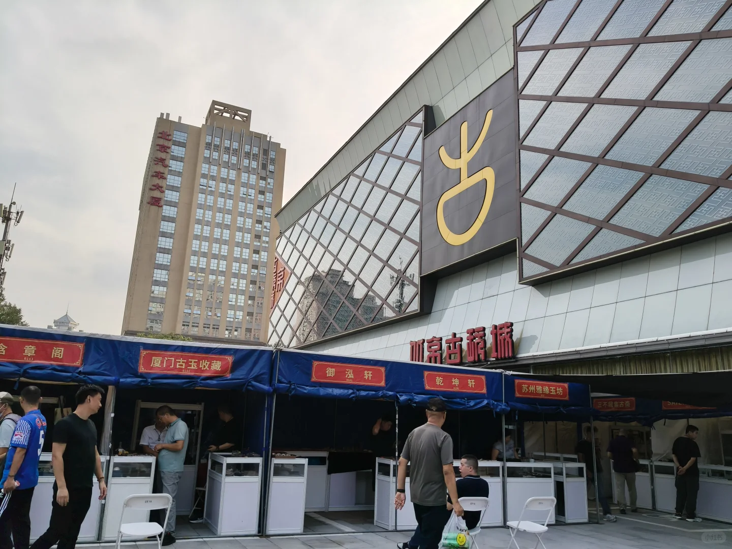 感觉都是老演员了