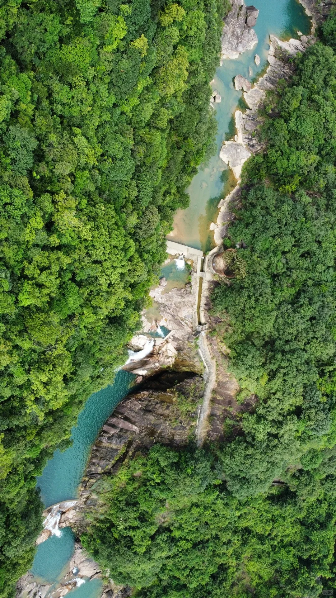 惠州218公里公路出圈!自驾必打卡路线?