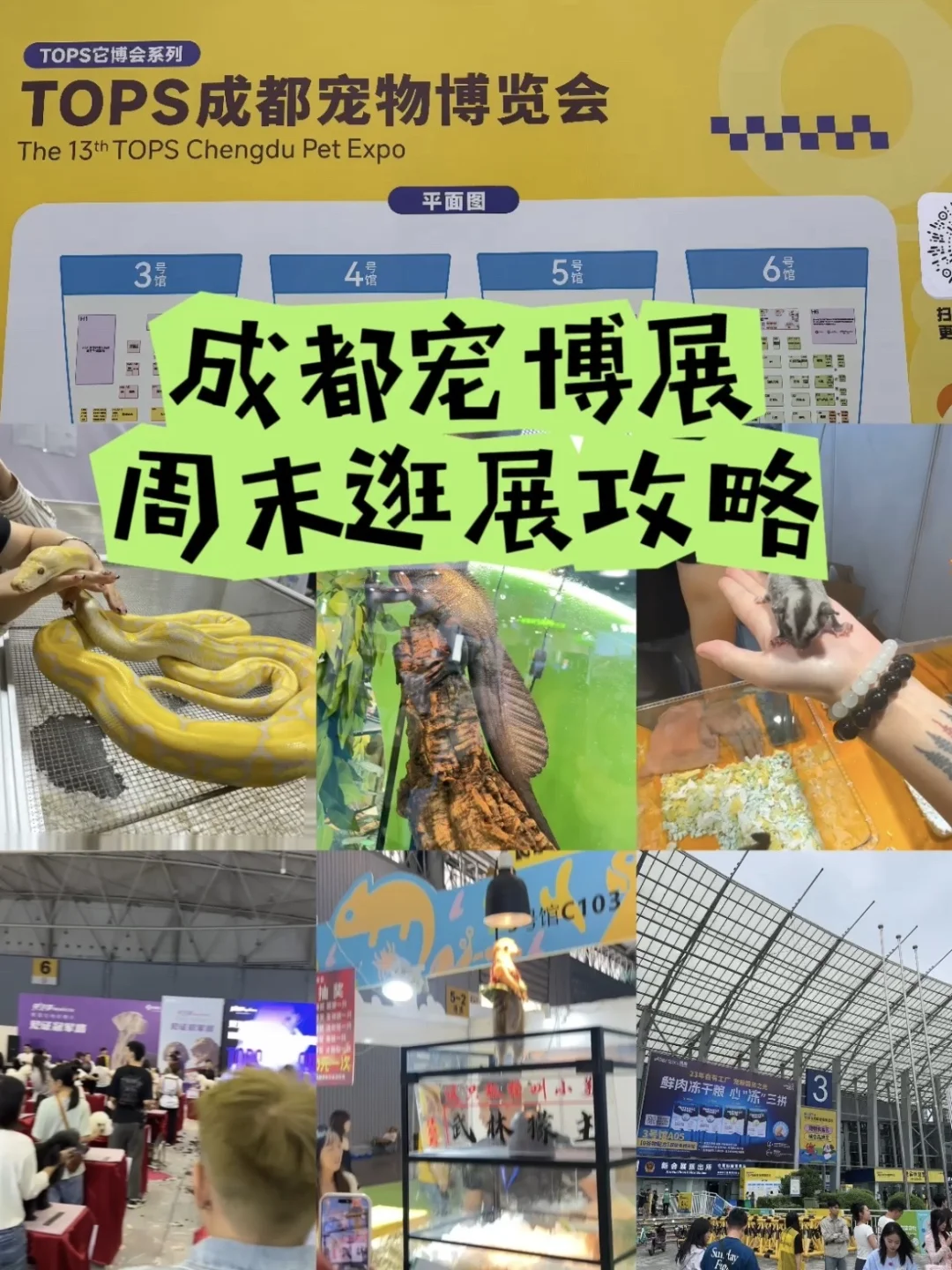 成都宠博会|周末逛展攻略!给毛孩子薅羊毛