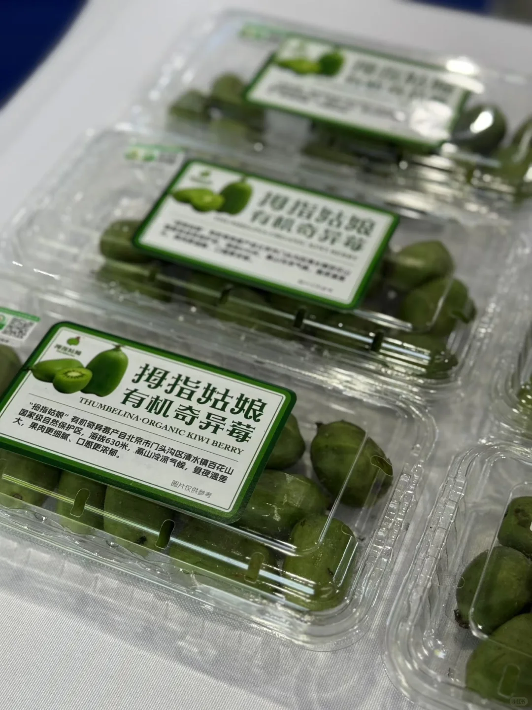 北京种业大会｜拇指姑娘奇异莓?