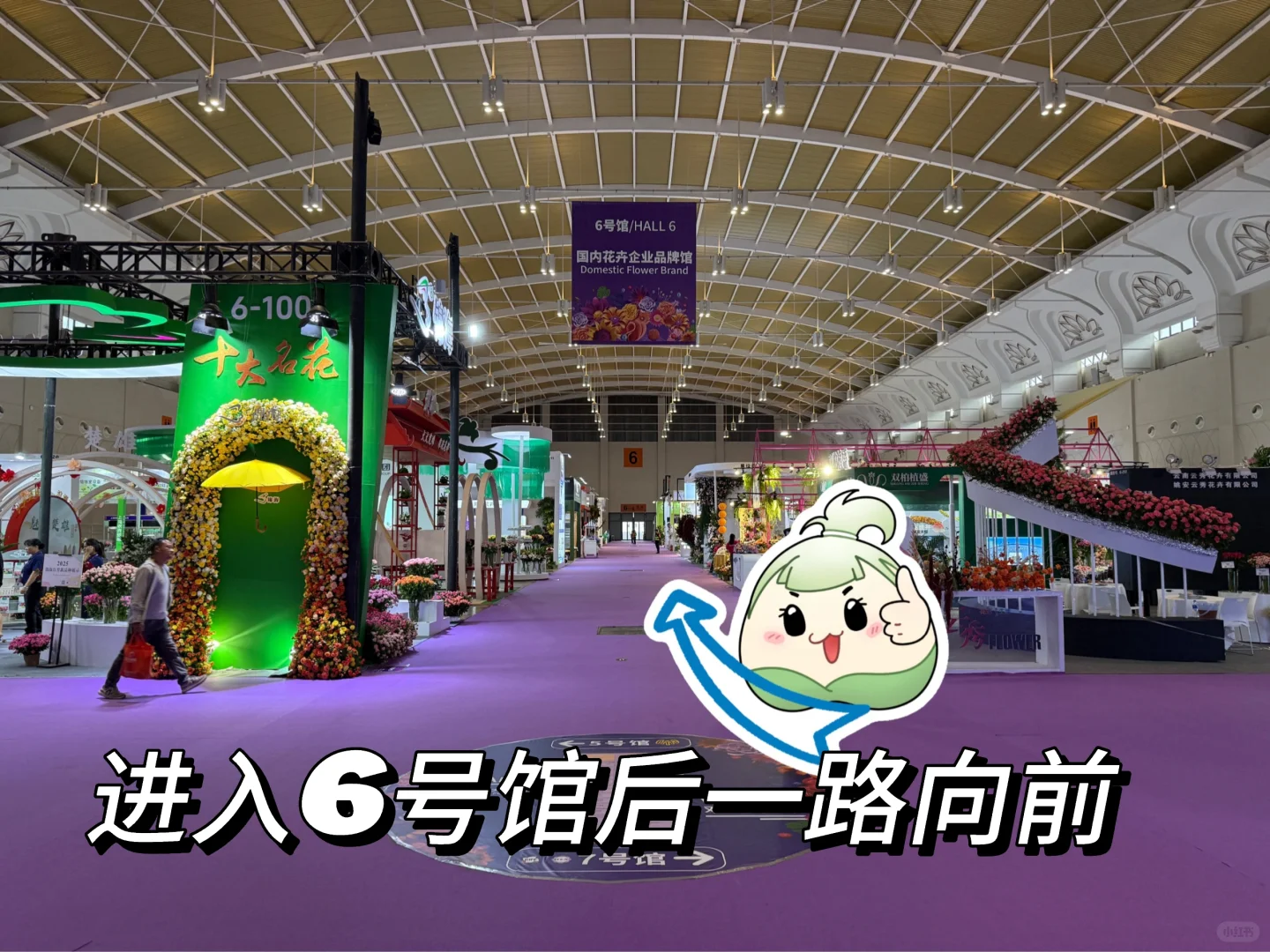 昆明花展｜跟着步导图，直达蕊漪展位！