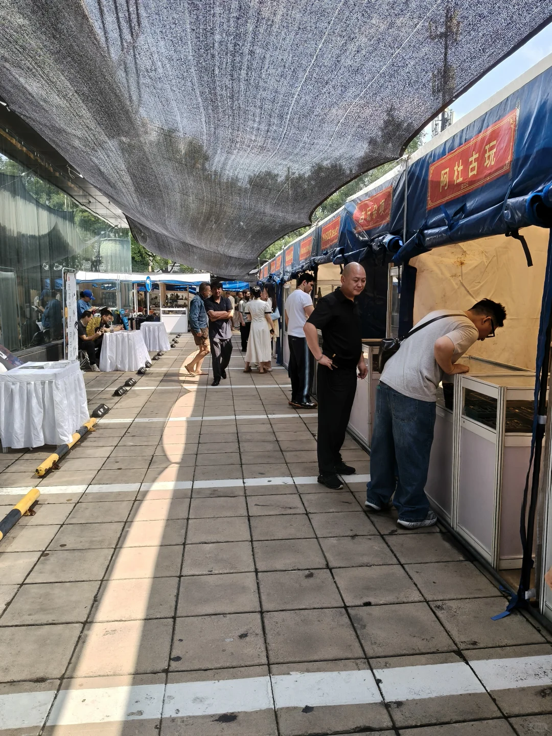 感觉都是老演员了