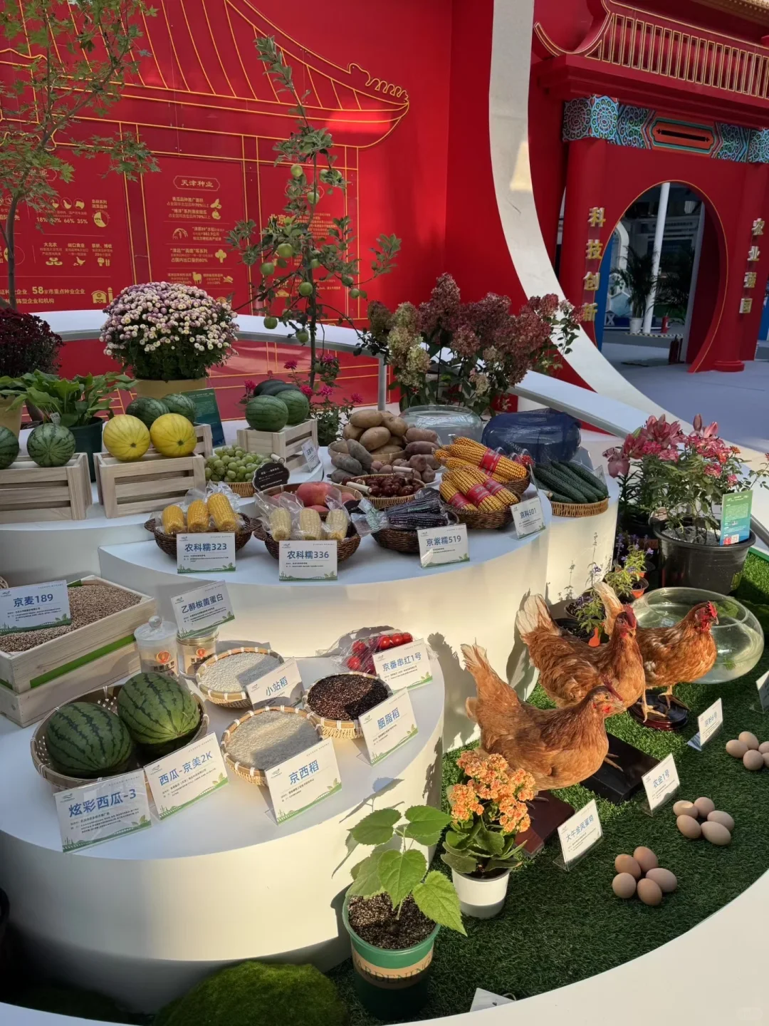 北京种业大会｜拇指姑娘奇异莓?