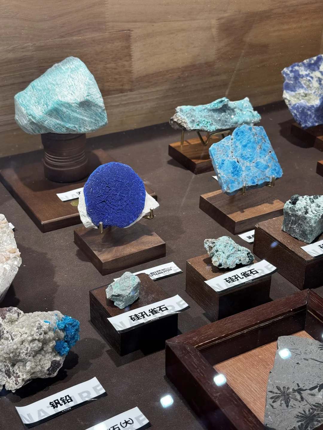 看了2025设计深圳展的碎碎念?