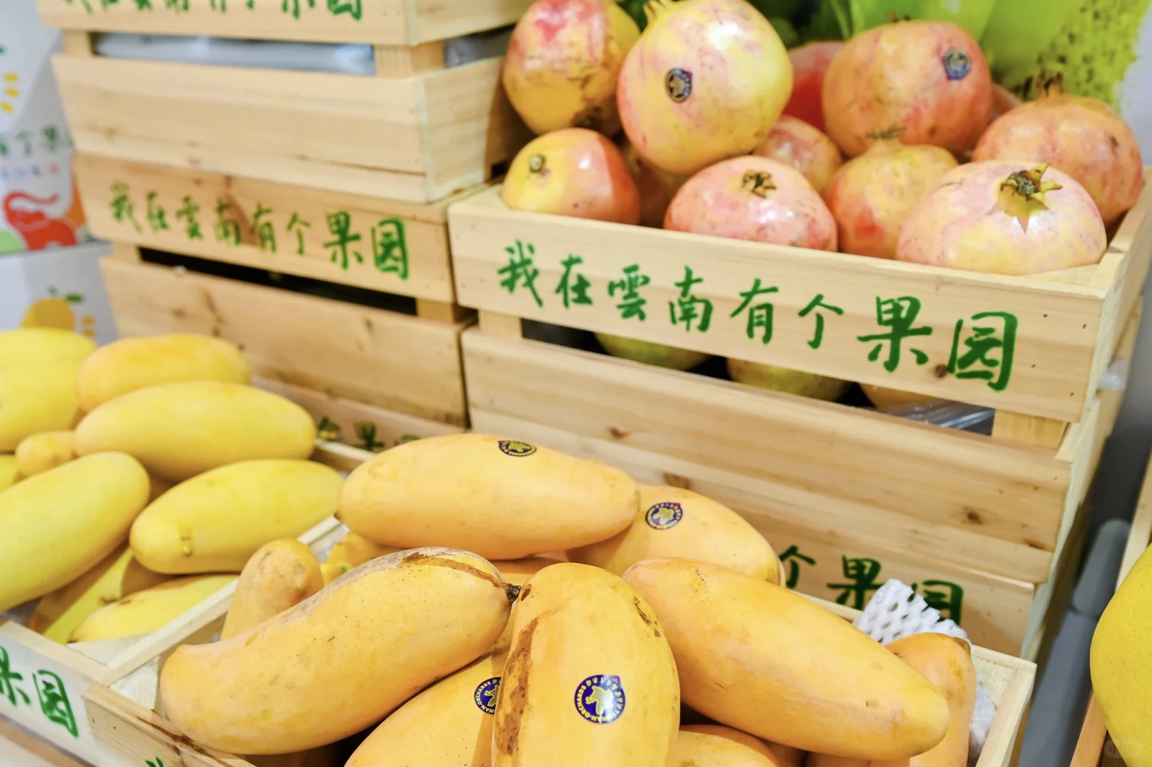 昆明免费看展!云南文博会也太会了吧✨