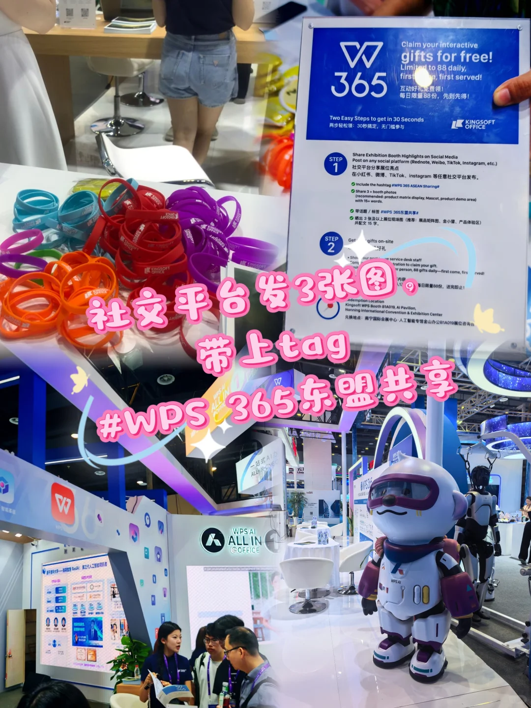 （2025年）第22届东博会·羊毛贴