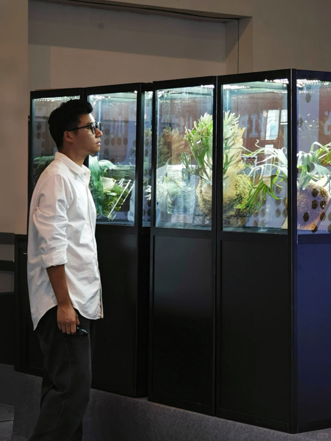 逛热植展就是有种太监逛青楼的无力感