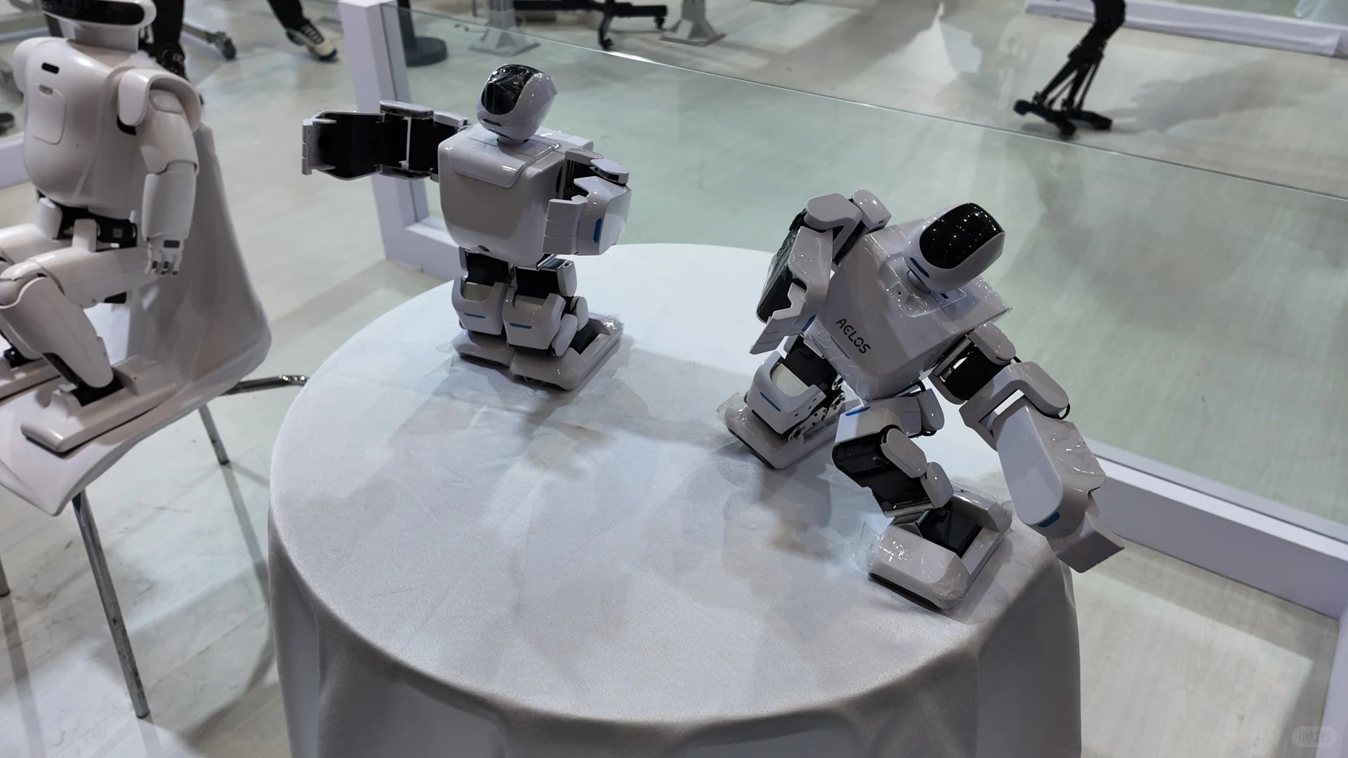 看展会～万企出海，鲁贸全球❗️