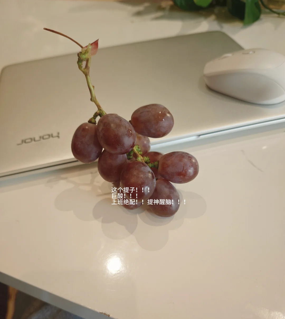 采购日常｜采购基础知识分享?