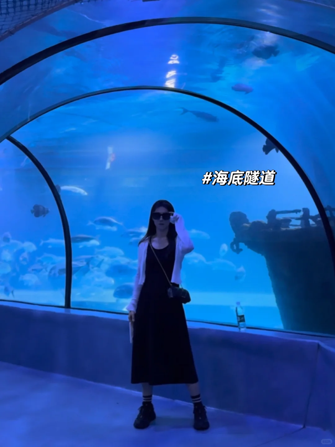 邯郸｜早知道有海底世界还去什么三亚?