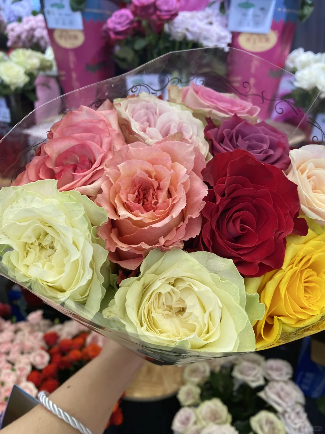 国际花卉园艺展归来