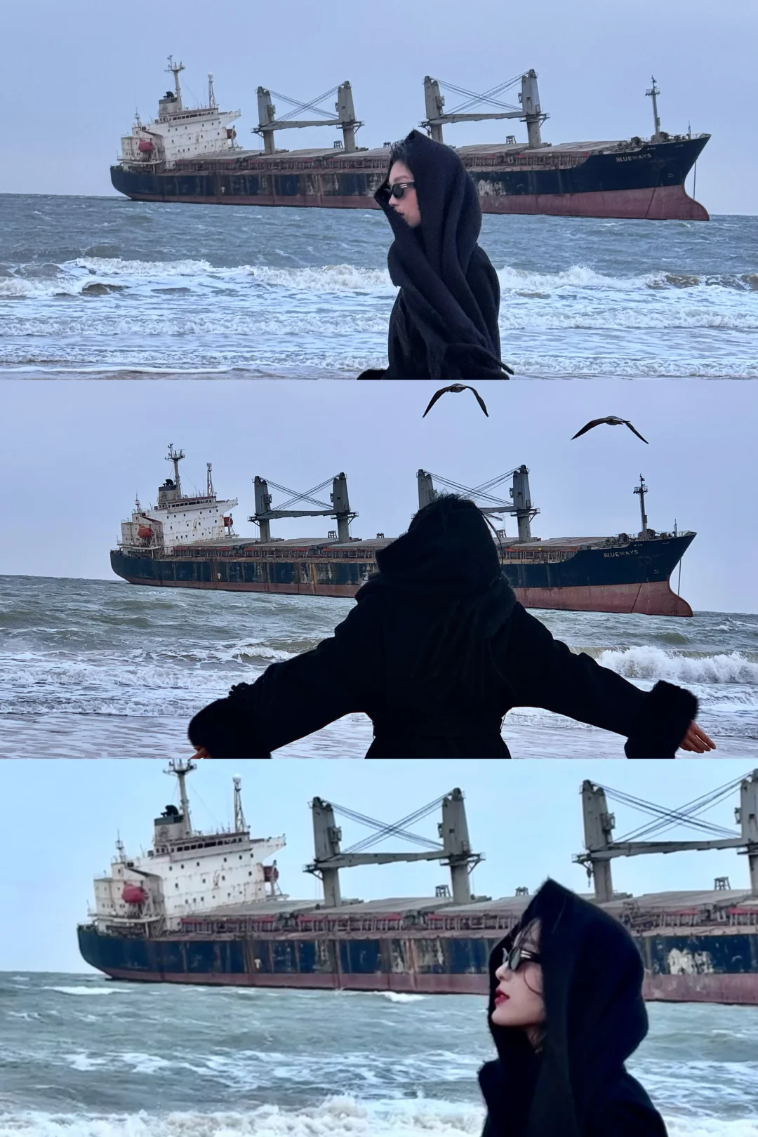 “ 这该死的宿命感 ”｜布鲁威斯号沉船