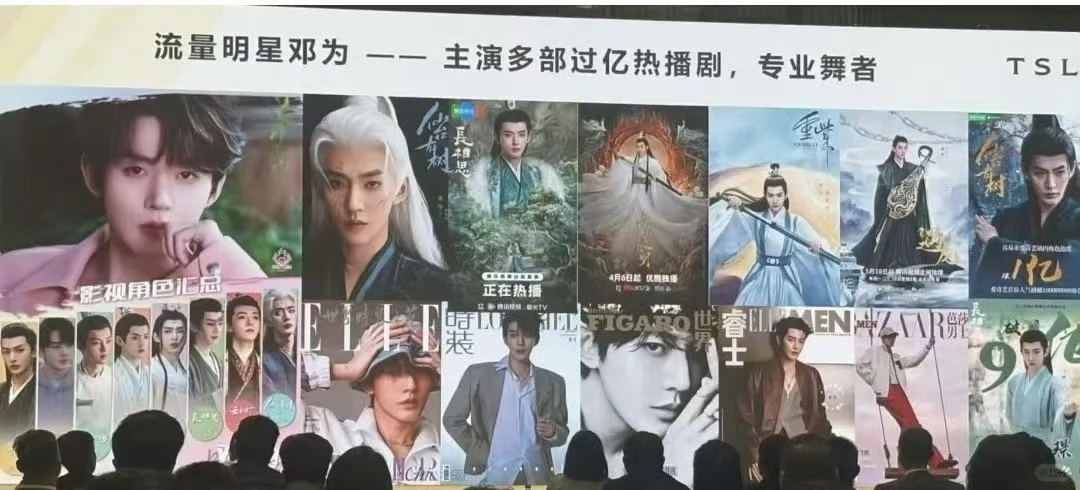 天然钻石协会项目推介会