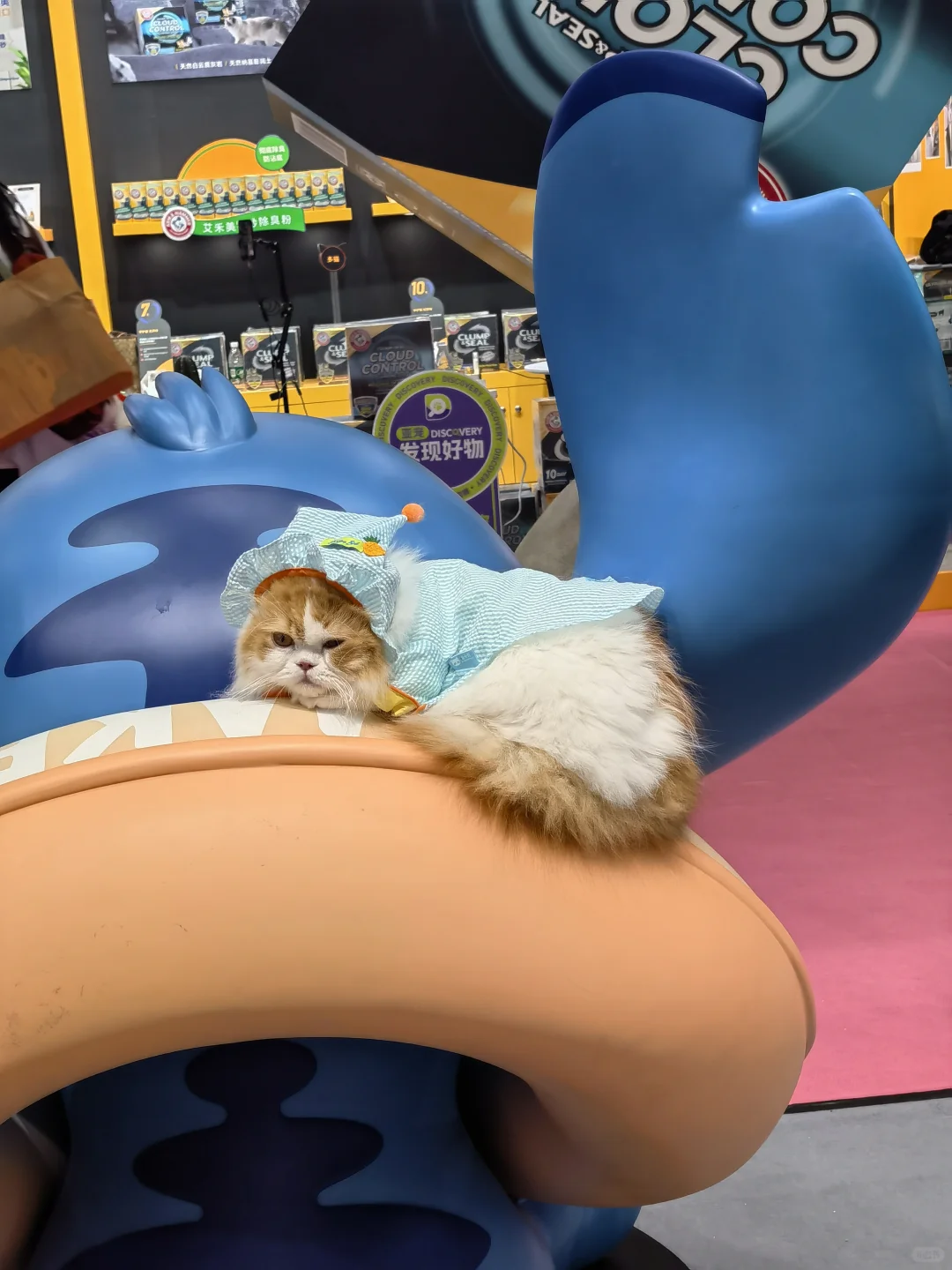 亚宠展盛世，如你所愿否？