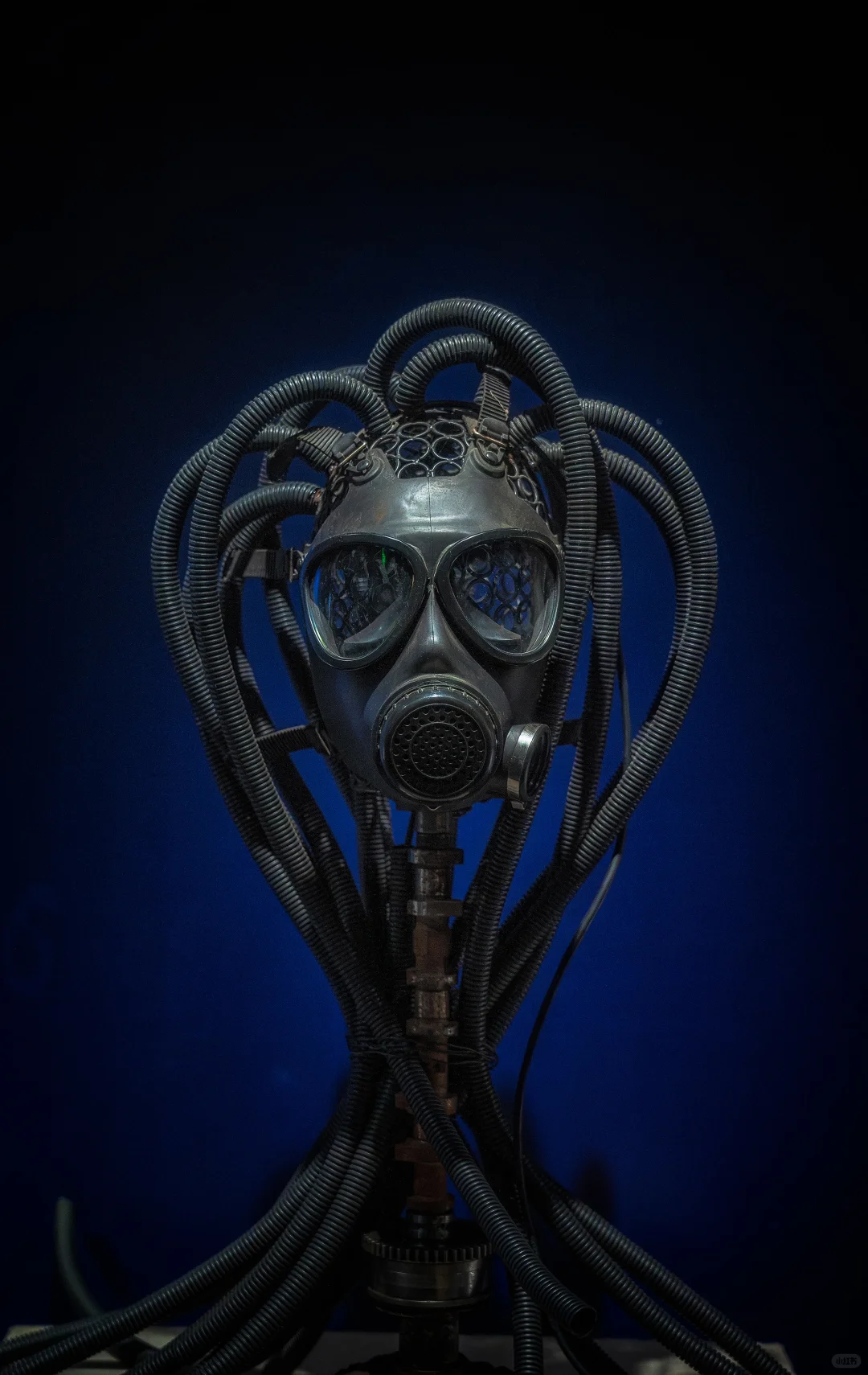 柳州博物馆展览?|蒸汽朋克展览太酷了✨✨